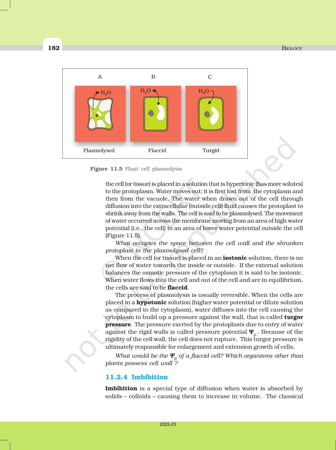 NCERT Book for Class 11 Biology Chapter 11 Transport in Plants - Page 10