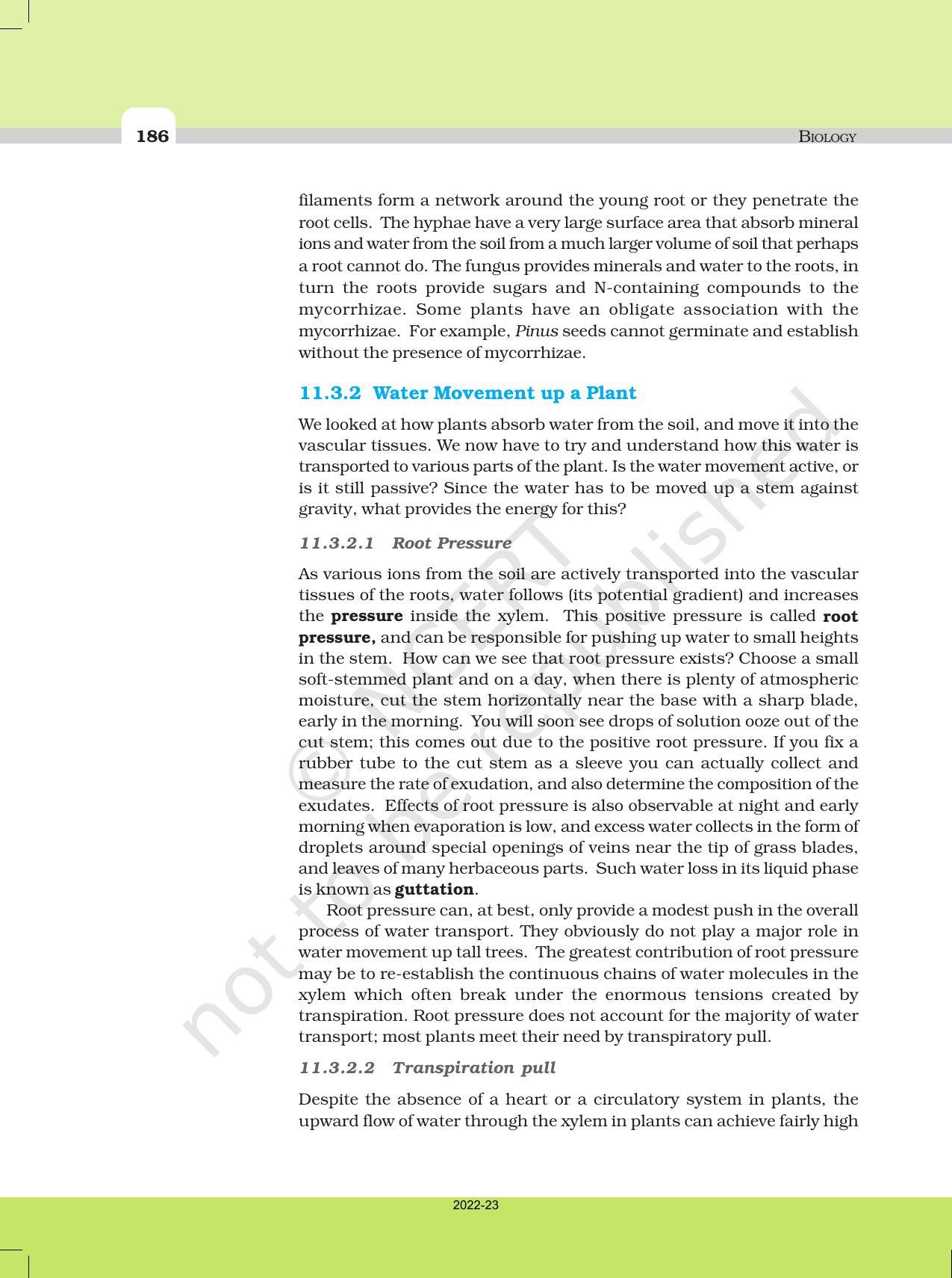 NCERT Book for Class 11 Biology Chapter 11 Transport in Plants - Page 14