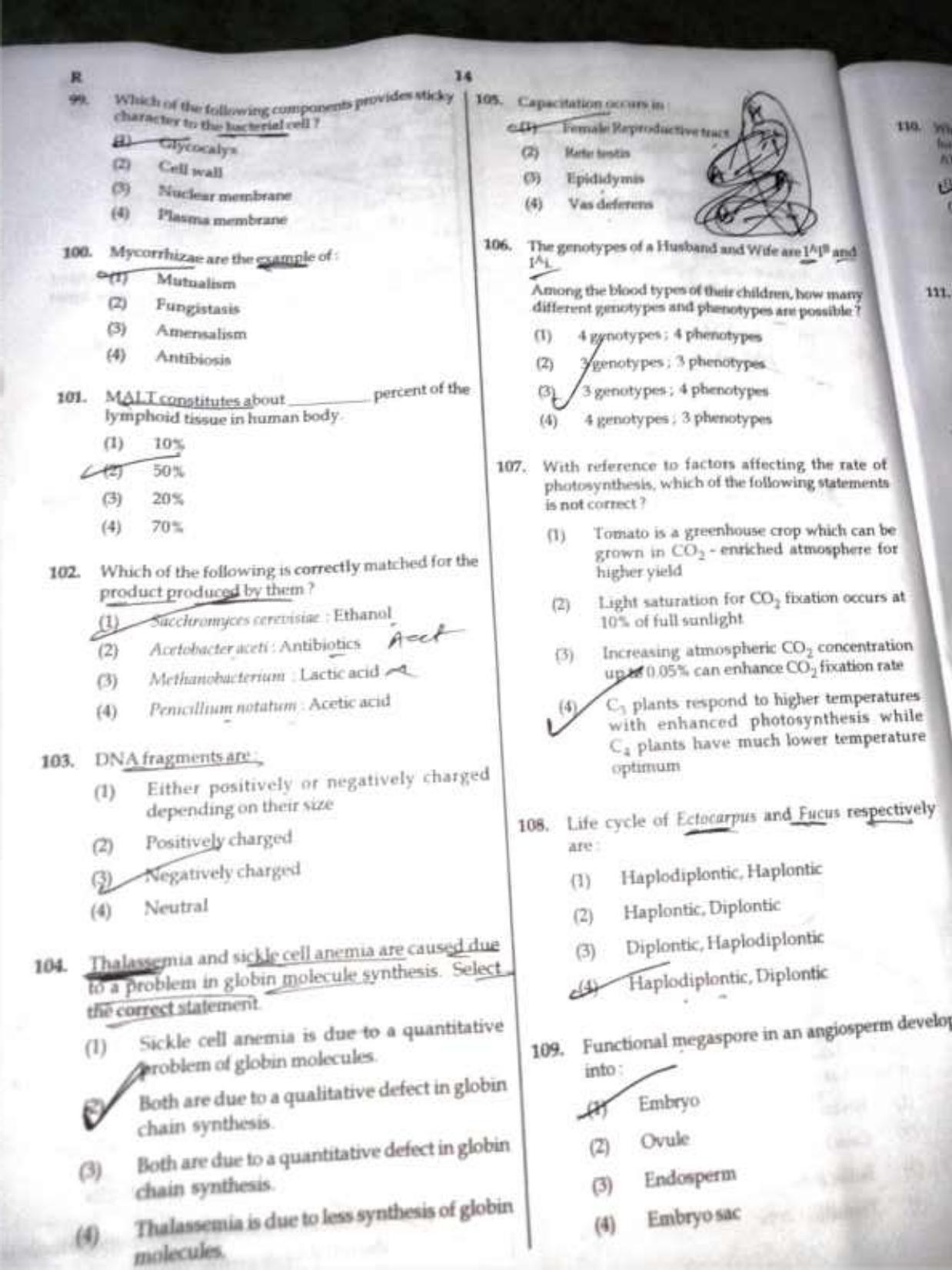 NEET Code R 2017 Question Paper - Page 13
