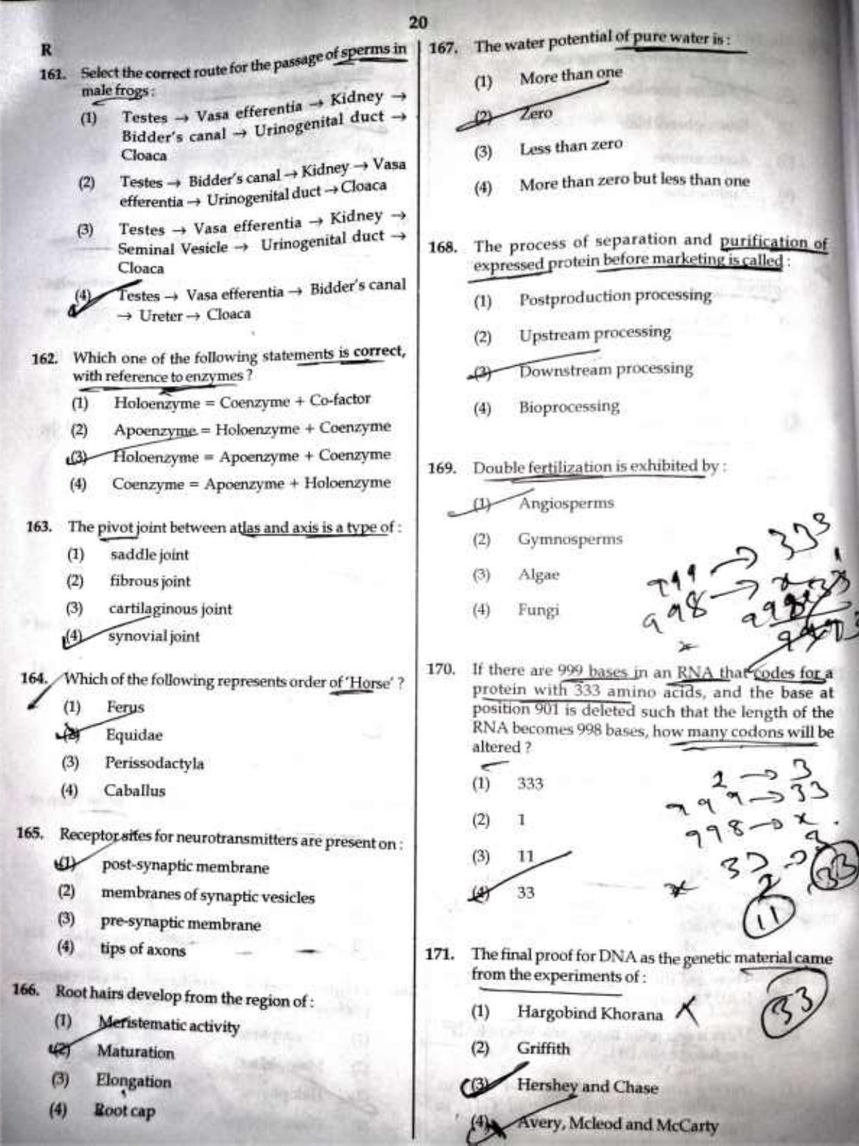 NEET Code R 2017 Question Paper - Page 19