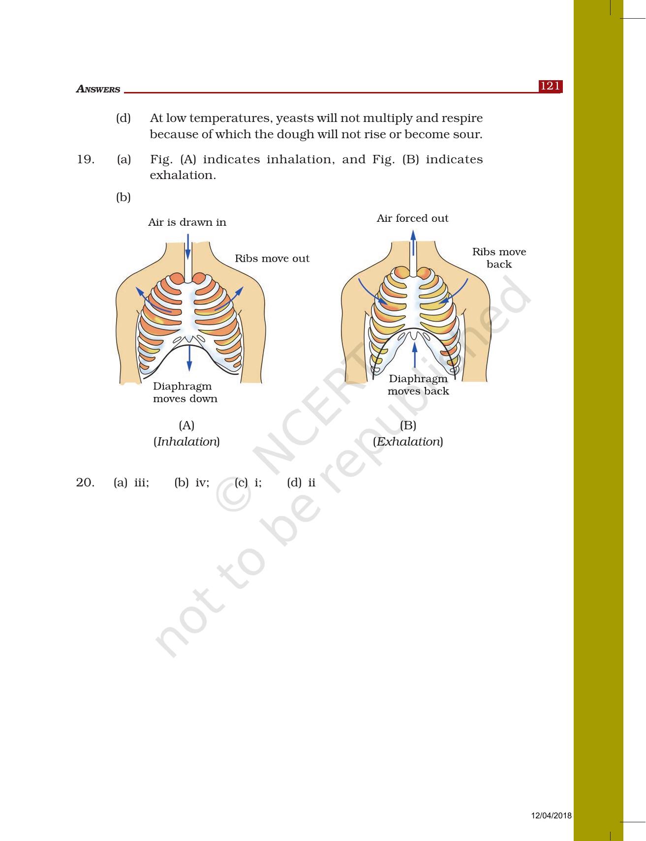 NCERT Exemplar Class 7: Science Answers - Page 24