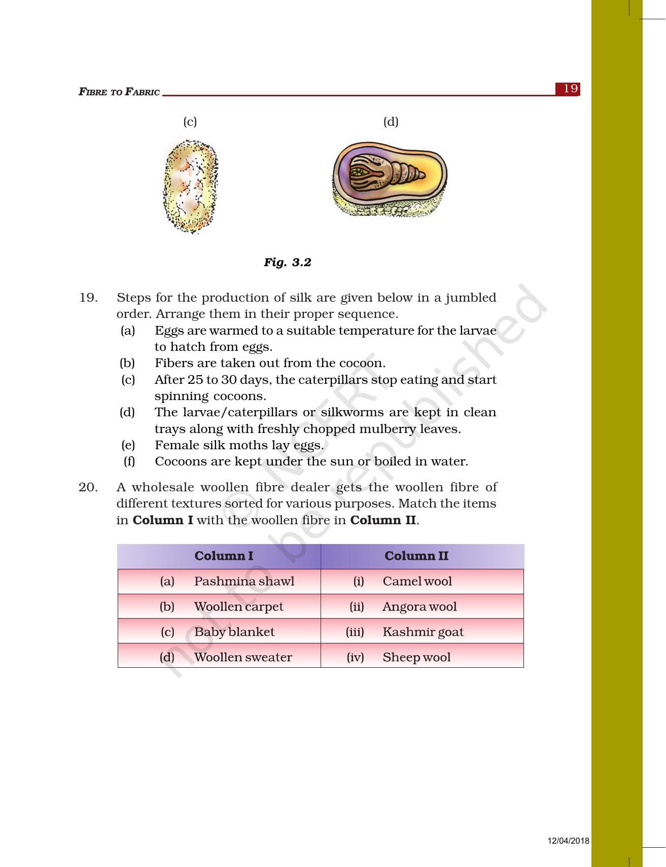 NCERT Exemplar Book for Class 7 Science: Chapter 3-Fibre to Fabric - Page 5