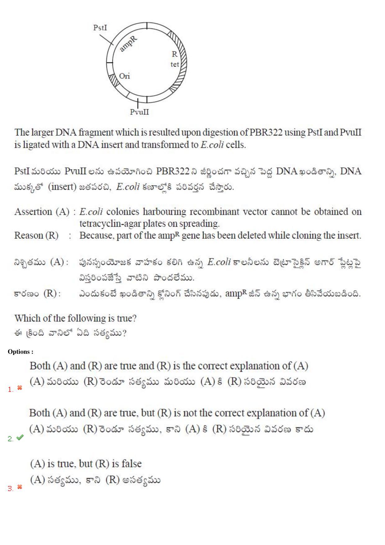 TS EAMCET 2018 Agriculture and Medical Question Paper with Key (3 May 2018 Forenoon) - Page 35