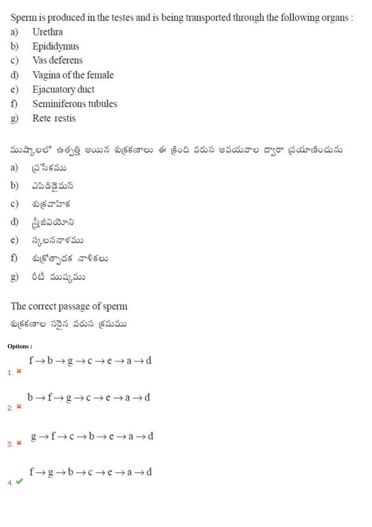 TS EAMCET 2018 Agriculture and Medical Question Paper with Key (3 May 2018 Forenoon) - Page 64