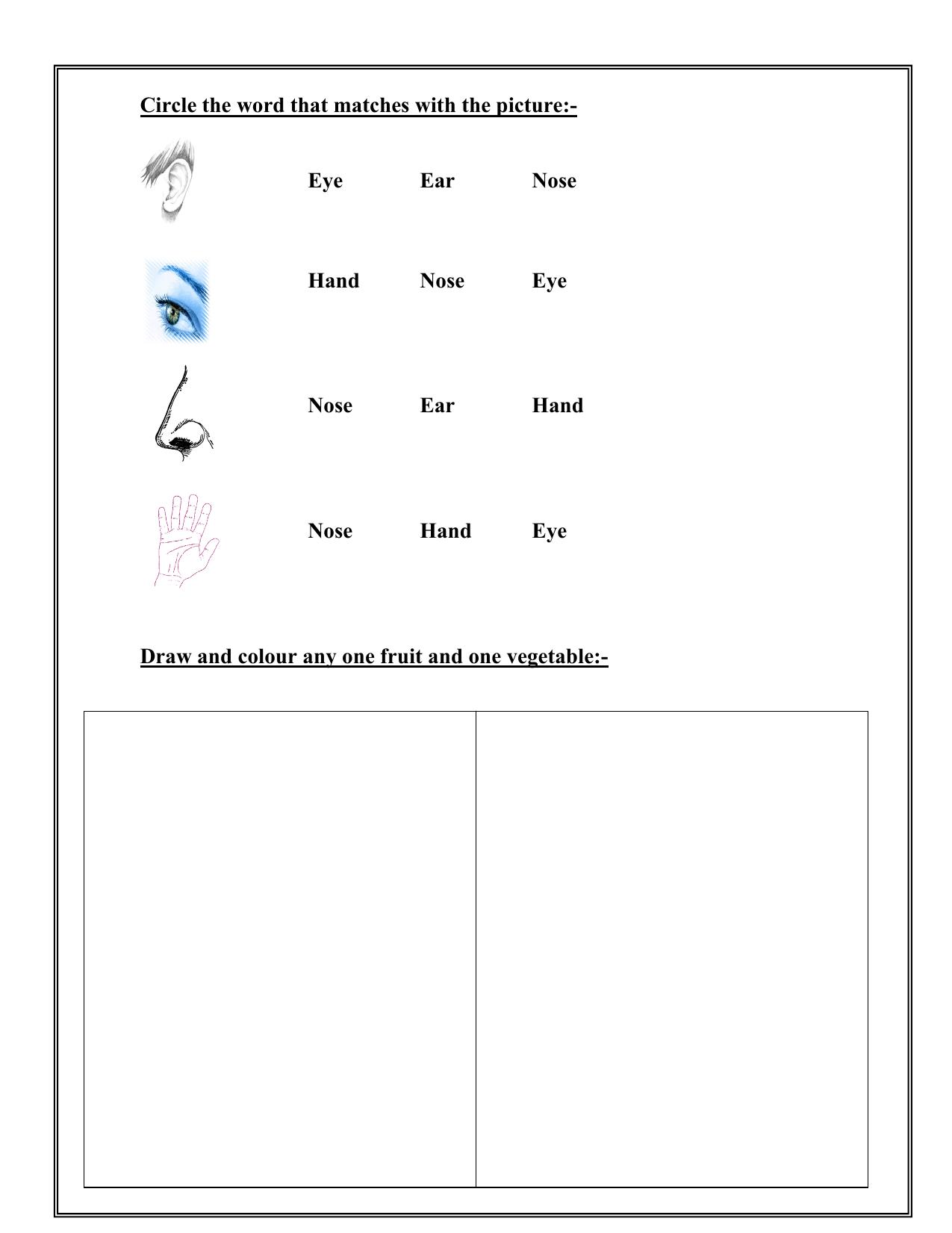 Worksheet for Class 1 EVS Revision Worksheet 7 - Page 6