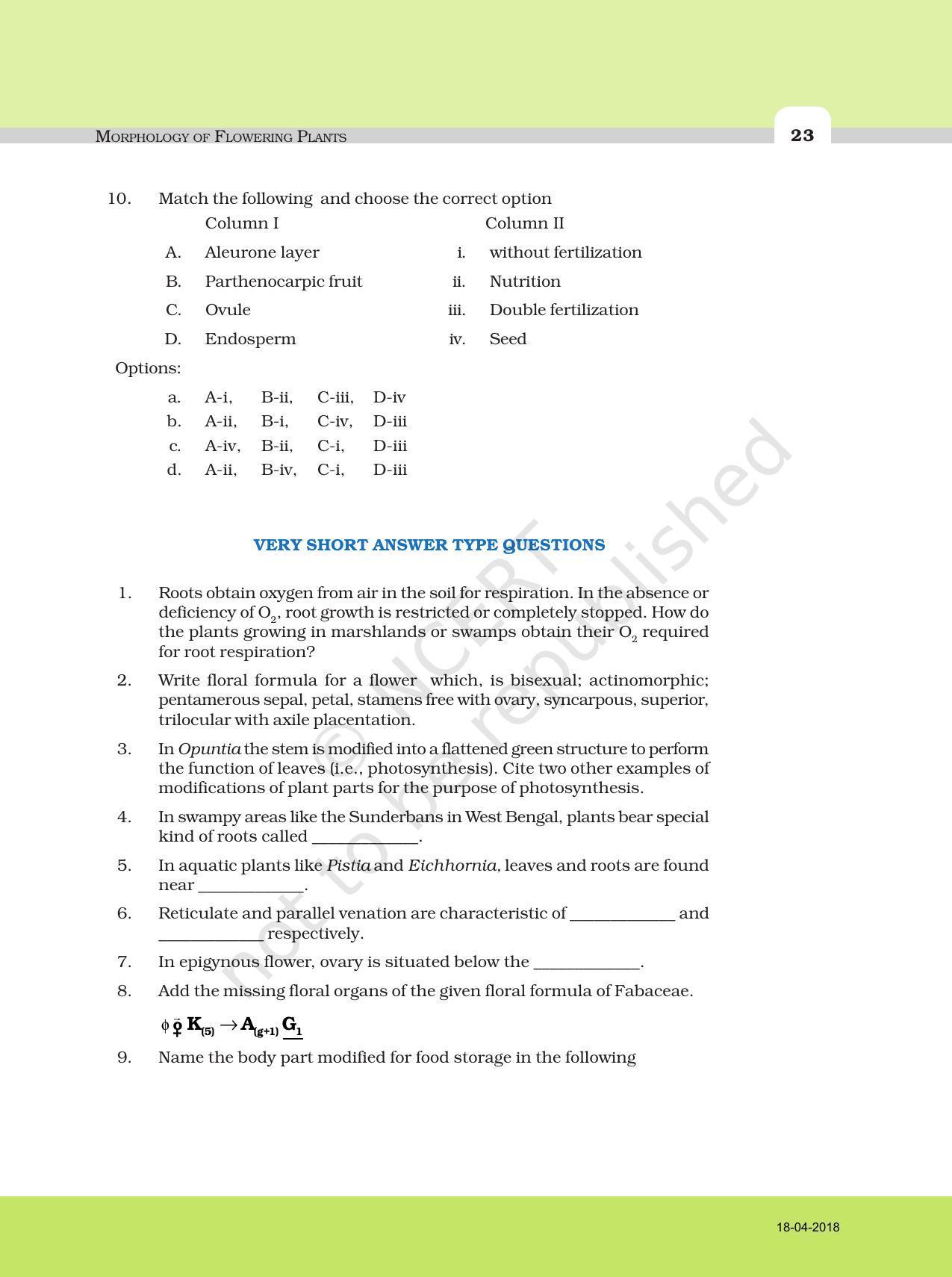 NCERT Exemplar Book for Class 11 Biology: Chapter 5 Morphology of Flowering Plants - Page 3