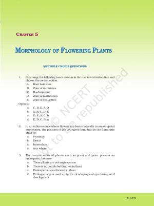 NCERT Exemplar Book for Class 11 Biology: Chapter 5 Morphology of Flowering Plants