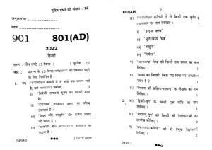 UP Board Previous Year Question Paper Class 10 Hindi (801 AD) – 2022