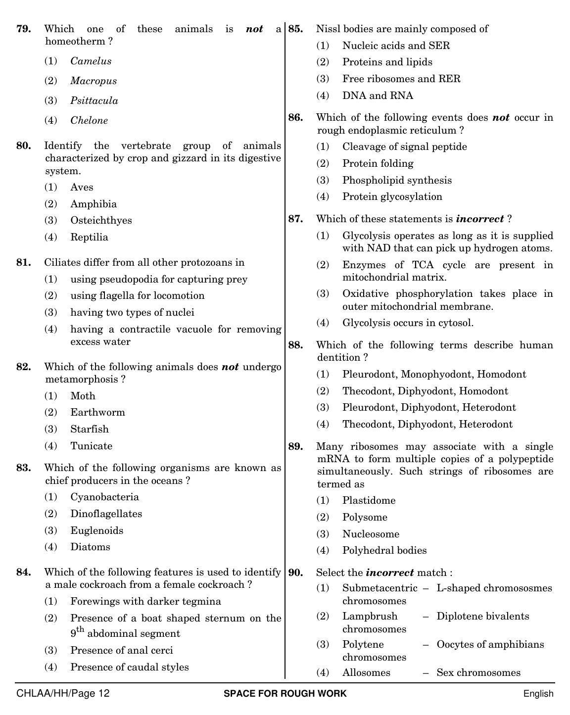 NEET English HH 2019 Question Paper - Page 12