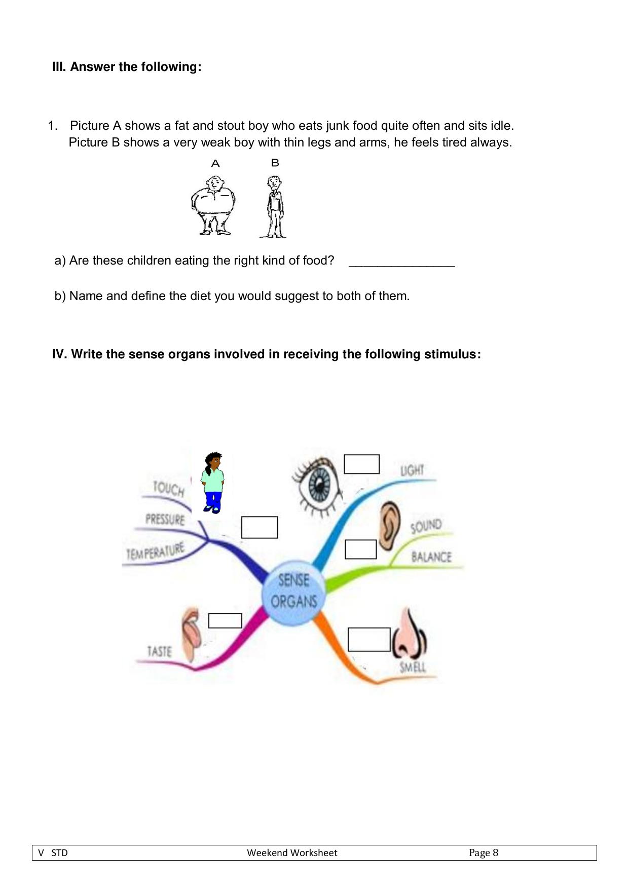 Worksheet for Class 5 Science Assignment 20 - Page 2