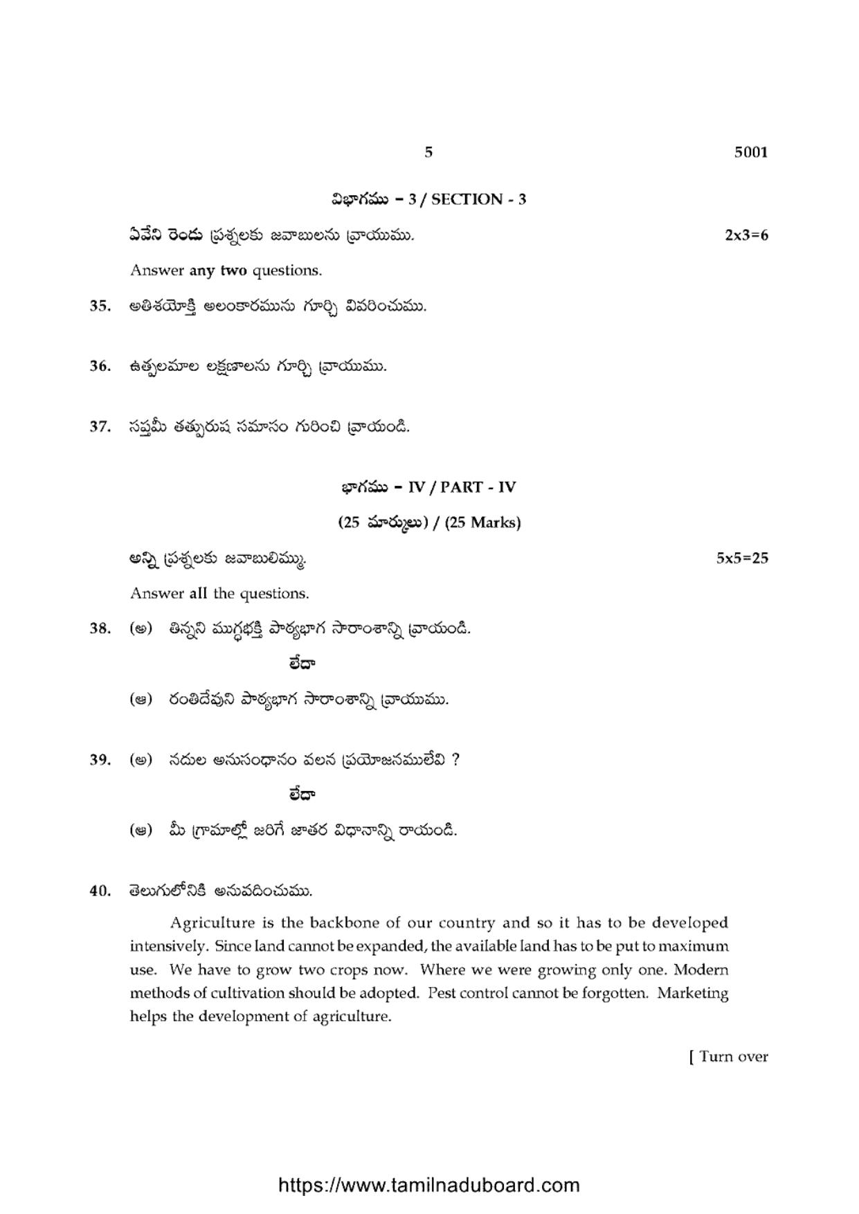 TN Class 10 Telugu-P4-5001 Question Papers 2021 - Page 5