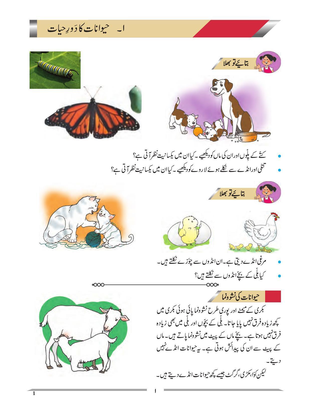 Maharashtra Board Class 4 EVS 1 (Urdu Medium) Textbook - Page 11