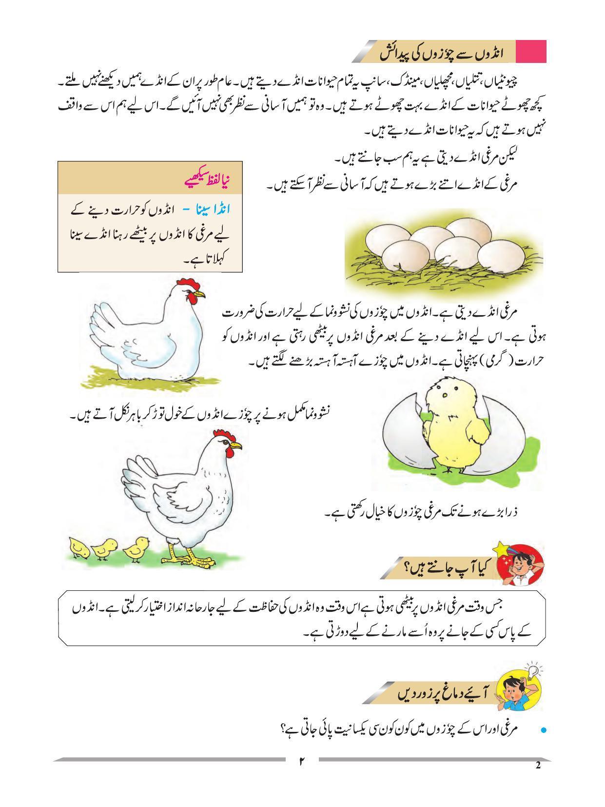 Maharashtra Board Class 4 EVS 1 (Urdu Medium) Textbook - Page 12