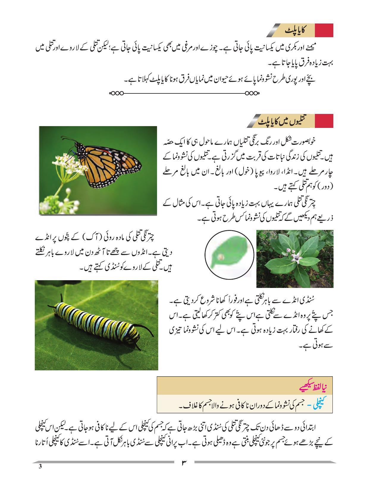 Maharashtra Board Class 4 EVS 1 (Urdu Medium) Textbook - Page 13