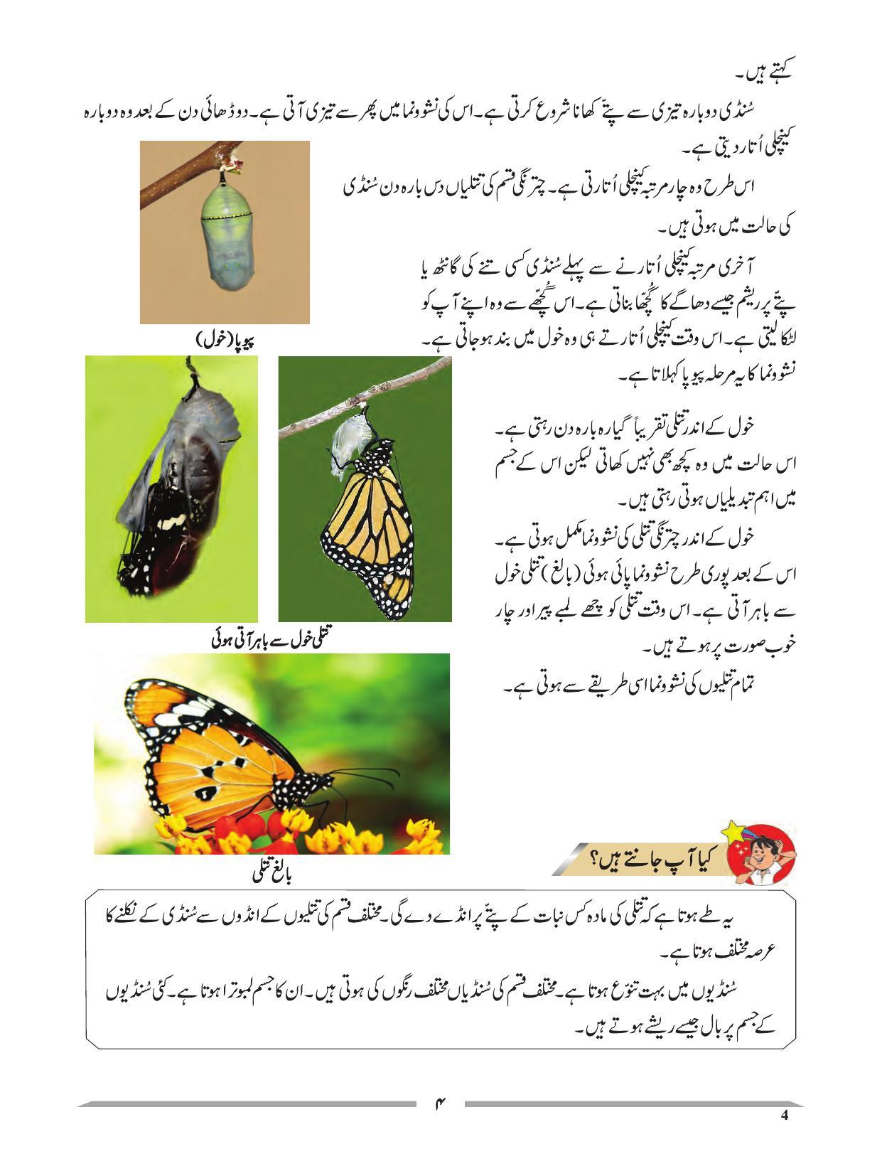 Maharashtra Board Class 4 EVS 1 (Urdu Medium) Textbook - Page 14