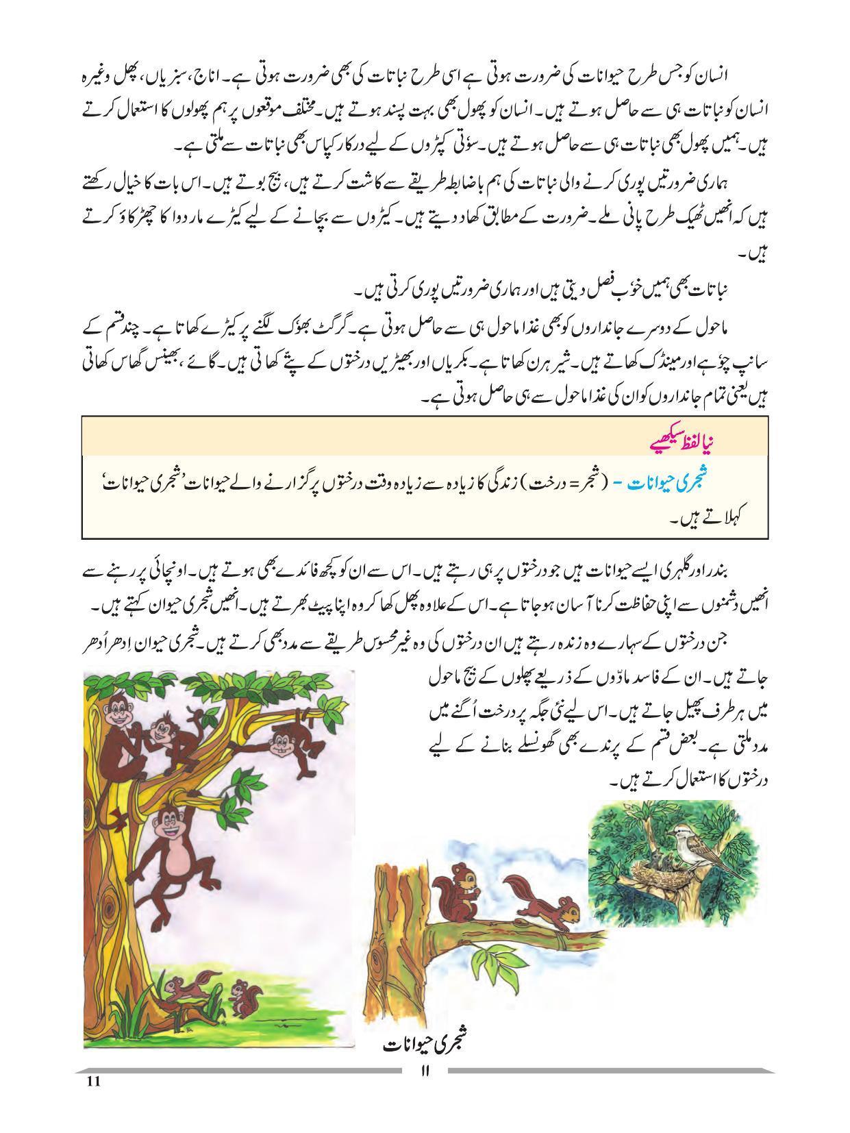 Maharashtra Board Class 4 EVS 1 (Urdu Medium) Textbook - Page 21