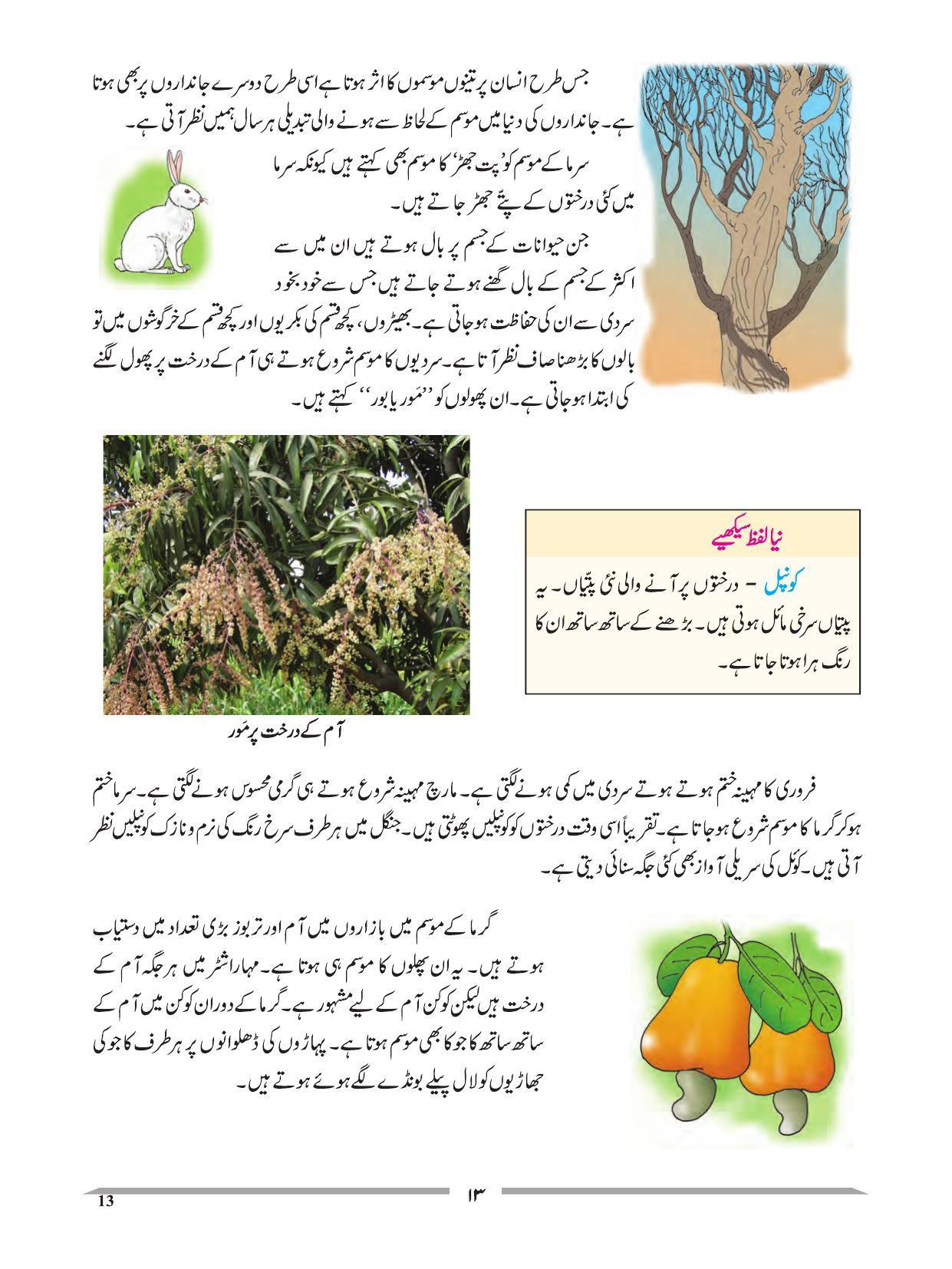 Maharashtra Board Class 4 EVS 1 (Urdu Medium) Textbook - Page 23