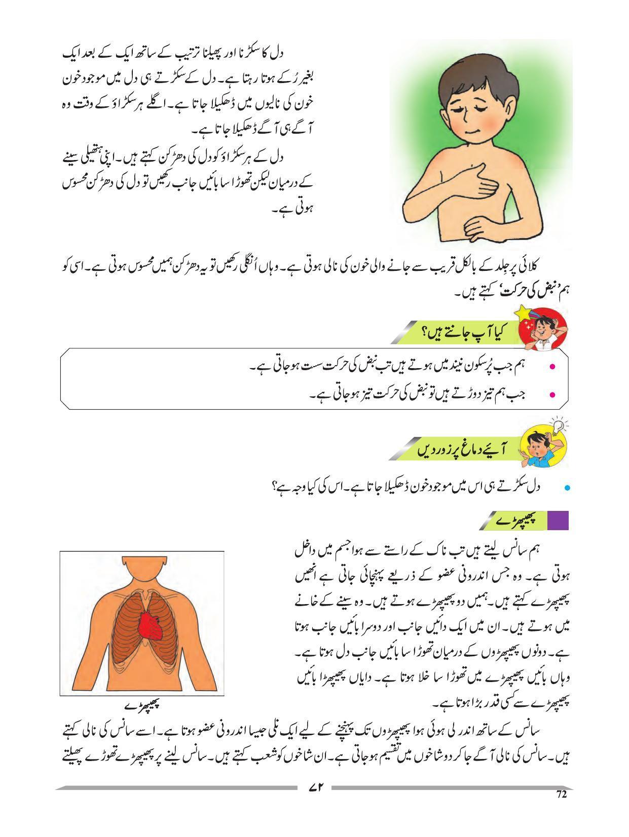 Maharashtra Board Class 4 EVS 1 (Urdu Medium) Textbook - Page 82