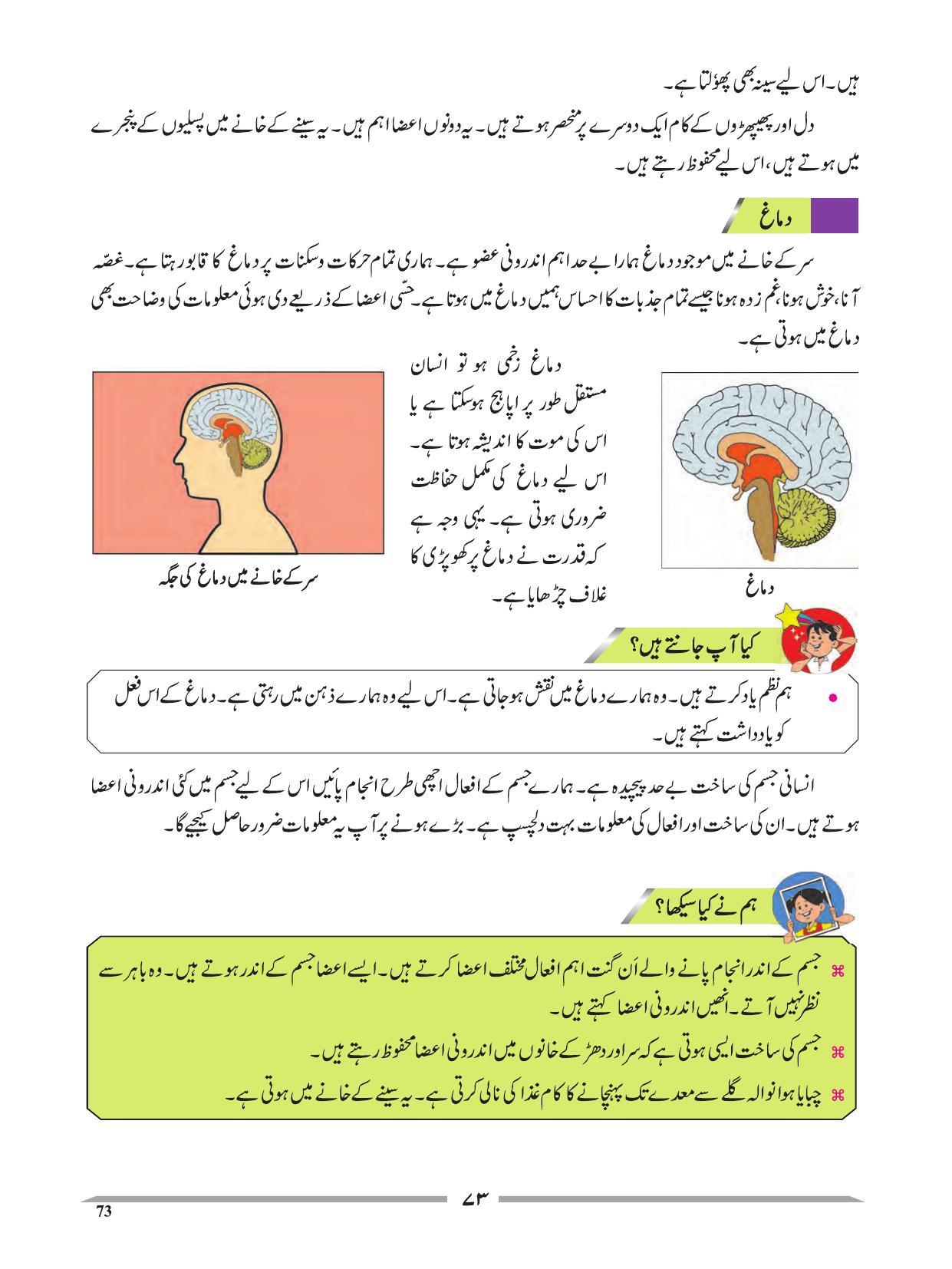 Maharashtra Board Class 4 EVS 1 (Urdu Medium) Textbook - Page 83