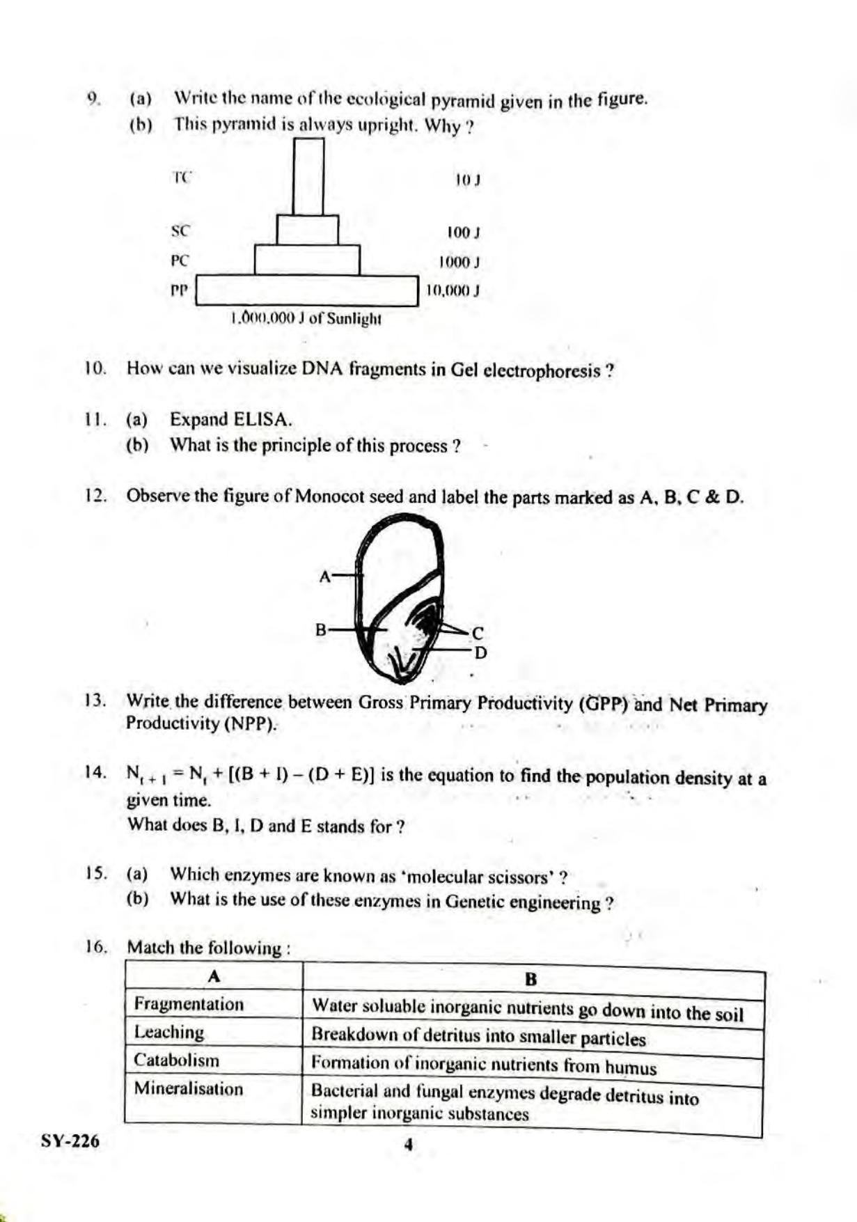 Kerala Plus Two 2023 Biology Model Question Paper - Page 4