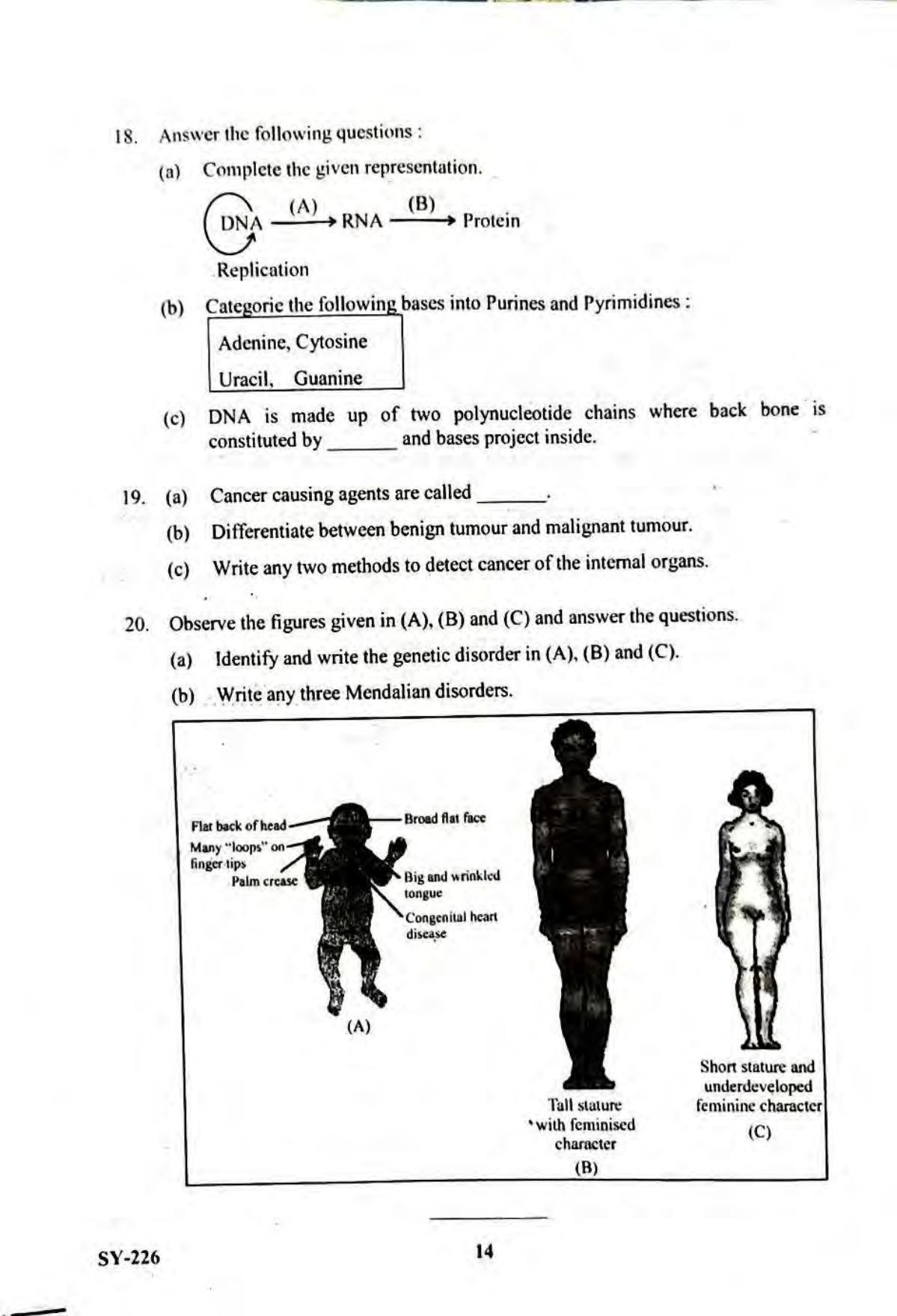 Kerala Plus Two 2023 Biology Model Question Paper - Page 14
