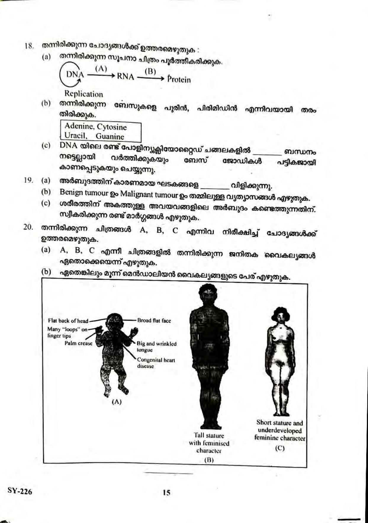 Kerala Plus Two 2023 Biology Model Question Paper - Page 15