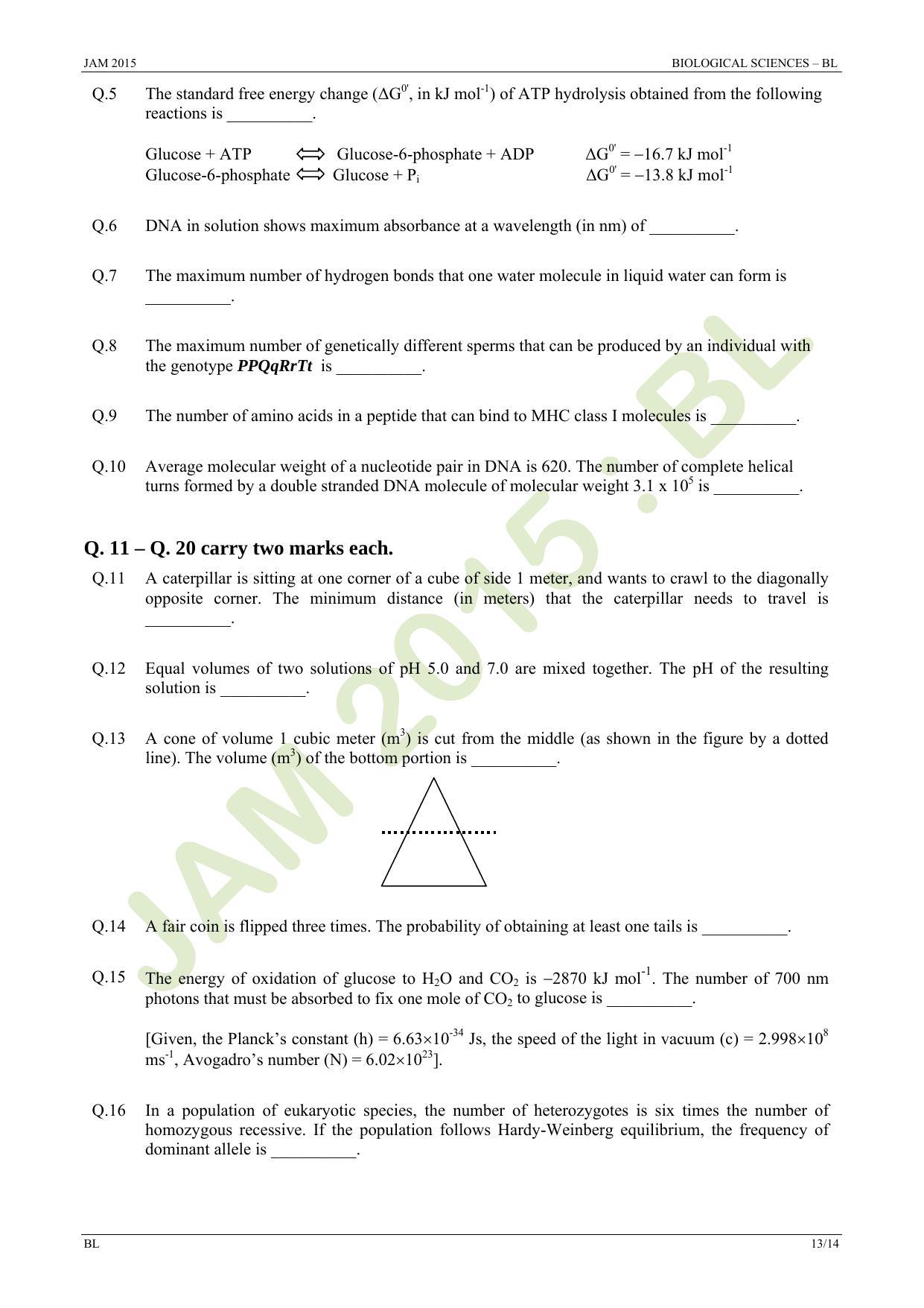 JAM 2015: BL Question Paper - Page 13