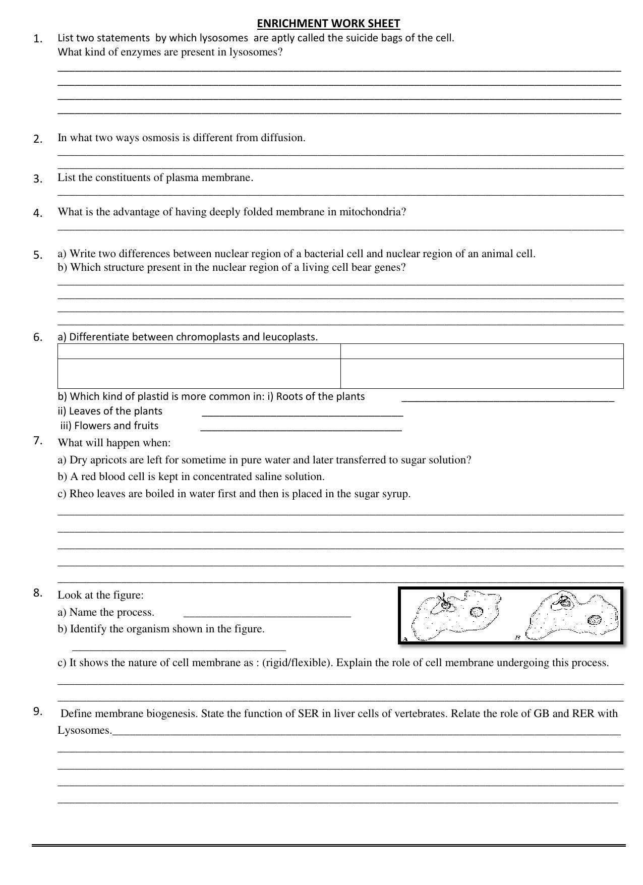 CBSE Worksheets for Class 9 Science Fundamental Unit of Life Assignment - Page 2