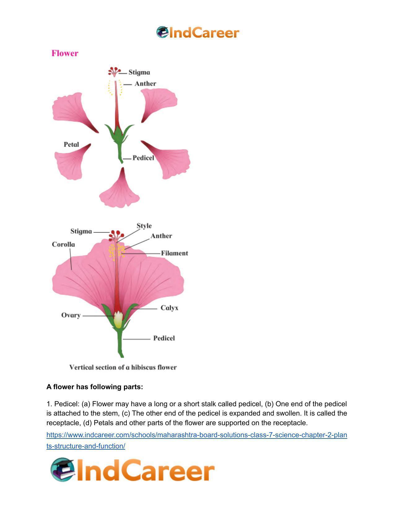 Maharashtra Board Solutions Class 7-Science: Chapter 2- Plants: Structure and Function - Page 4