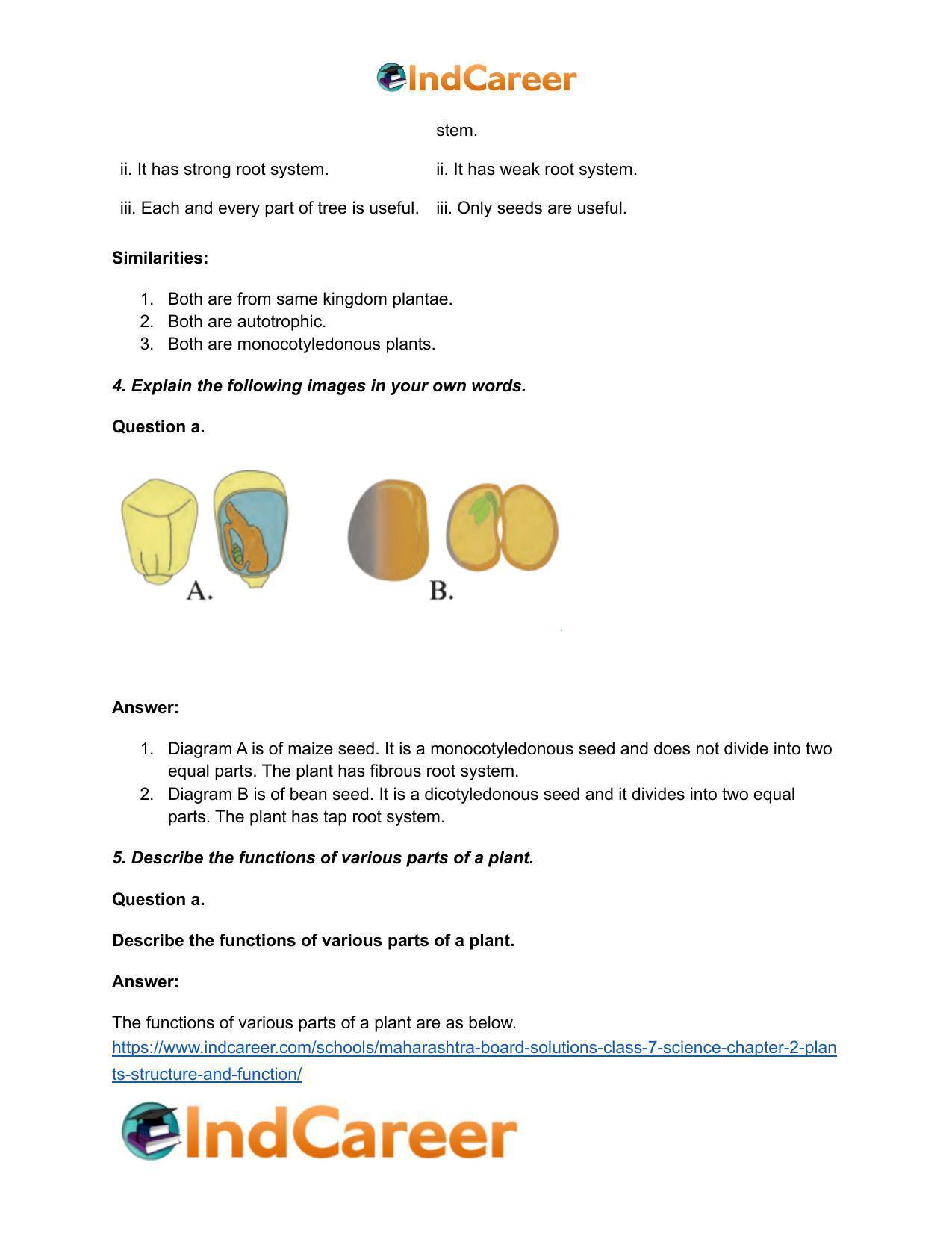 Maharashtra Board Solutions Class 7-Science: Chapter 2- Plants: Structure and Function - Page 7