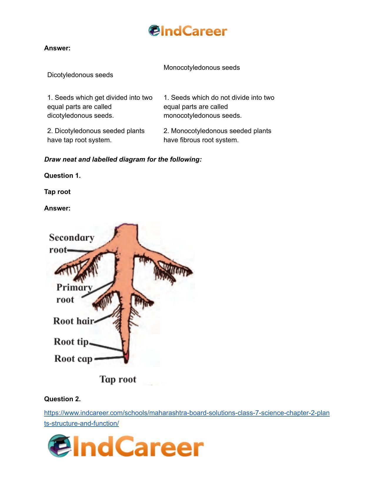 Maharashtra Board Solutions Class 7-Science: Chapter 2- Plants: Structure and Function - Page 22