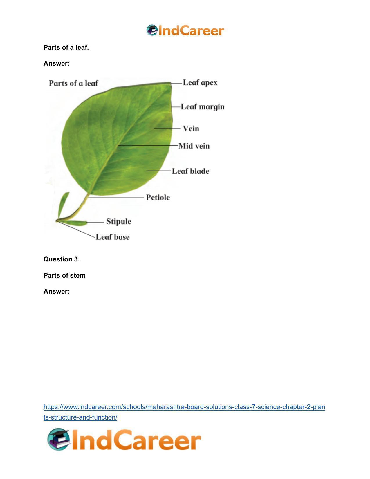 Maharashtra Board Solutions Class 7-Science: Chapter 2- Plants: Structure and Function - Page 23