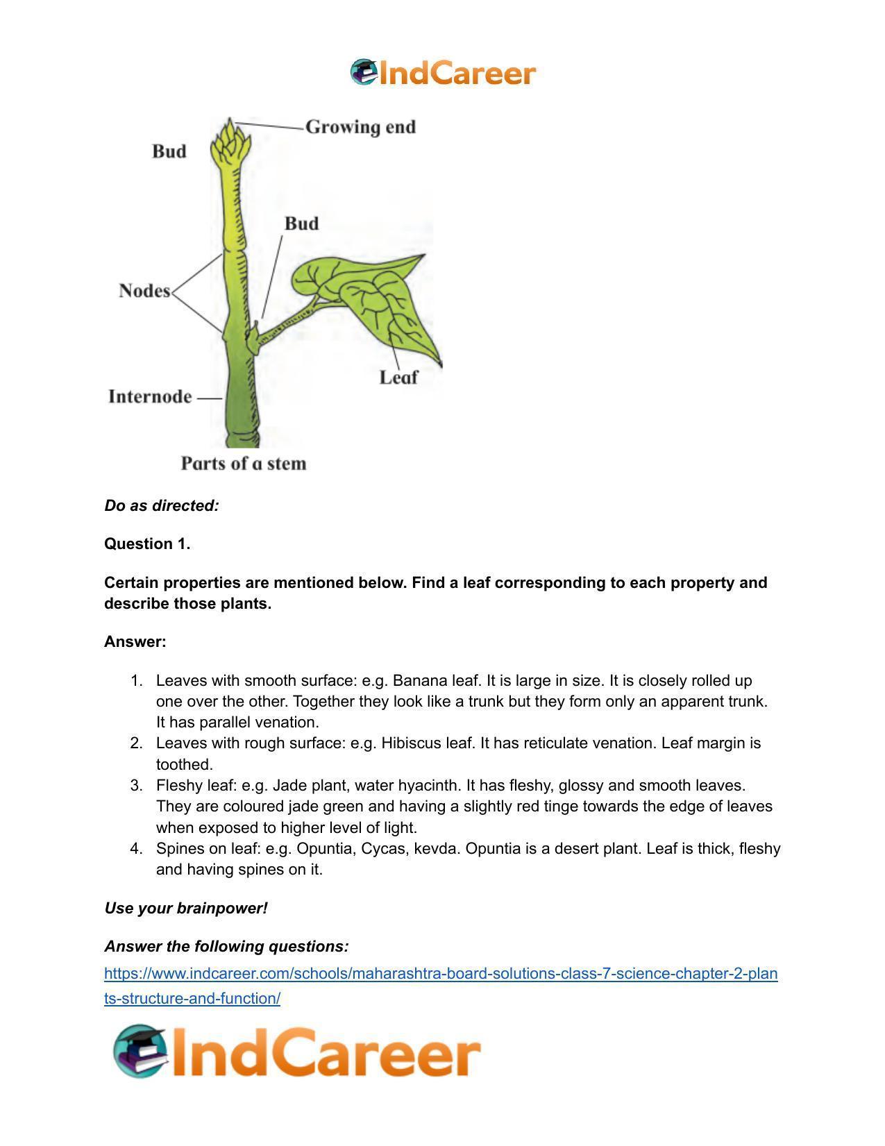 Maharashtra Board Solutions Class 7-Science: Chapter 2- Plants: Structure and Function - Page 24