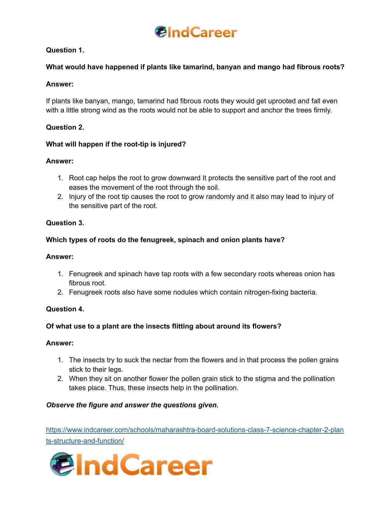 Maharashtra Board Solutions Class 7-Science: Chapter 2- Plants: Structure and Function - Page 25