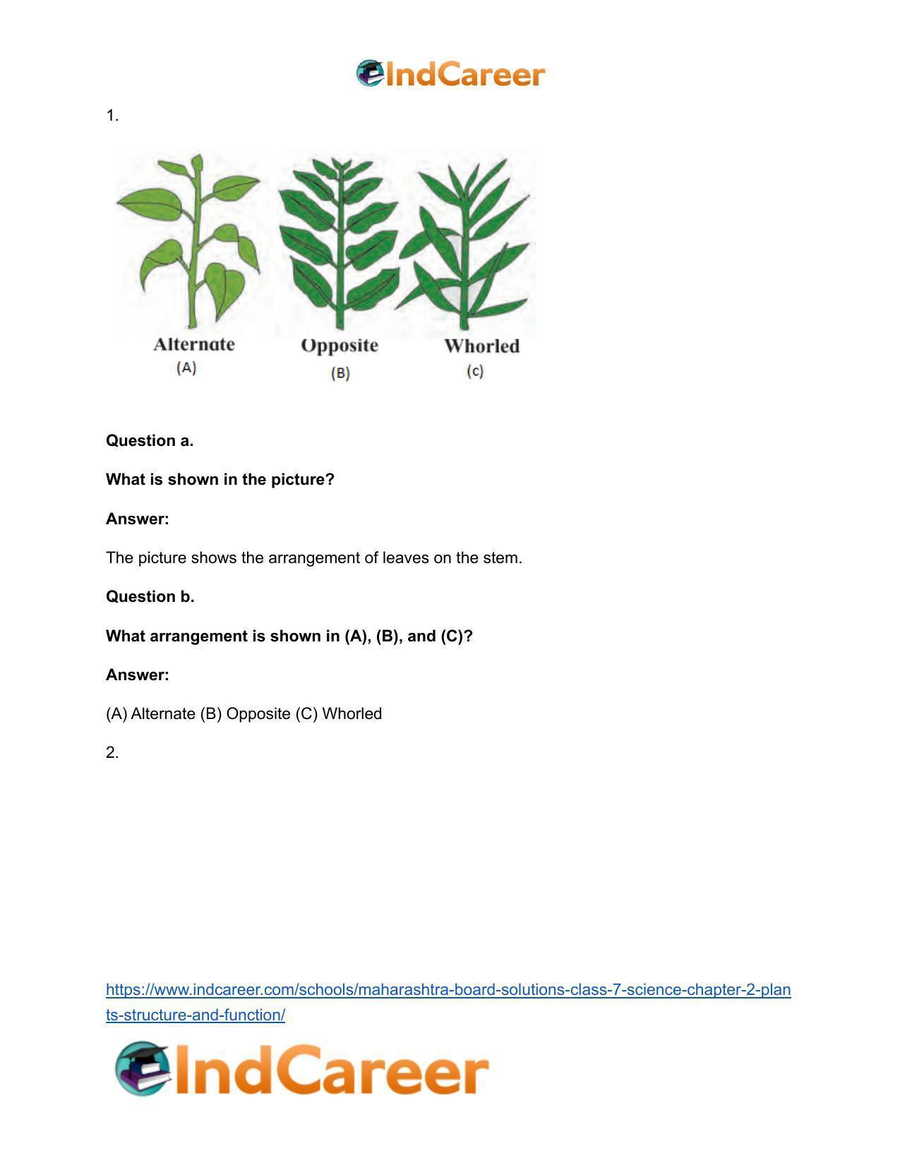 Maharashtra Board Solutions Class 7-Science: Chapter 2- Plants: Structure and Function - Page 26