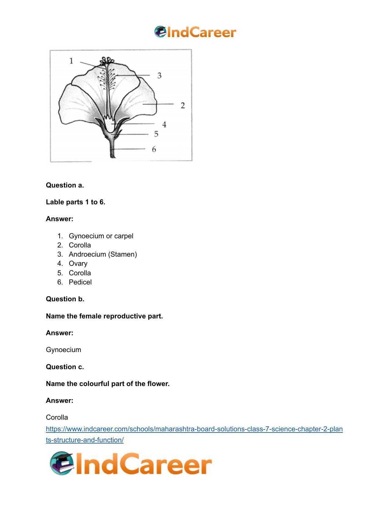 Maharashtra Board Solutions Class 7-Science: Chapter 2- Plants: Structure and Function - Page 27