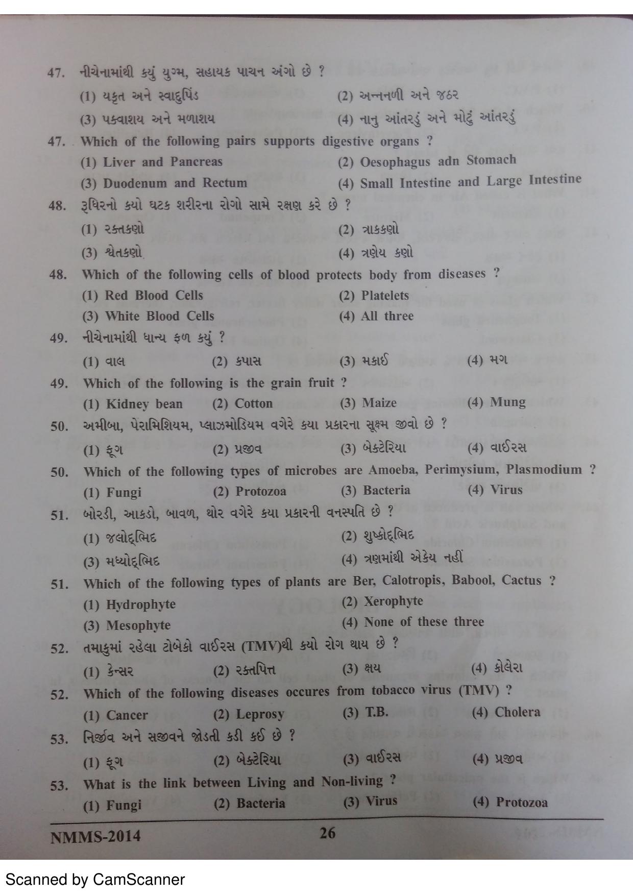 Gujarat NMMS 2014 Question Paper - Page 25