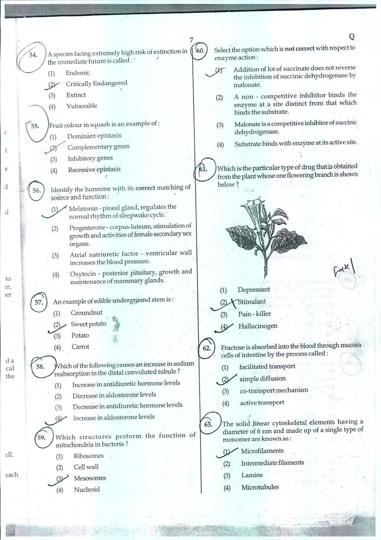 NEET Code Q 2014 Question Paper IndCareer Docs