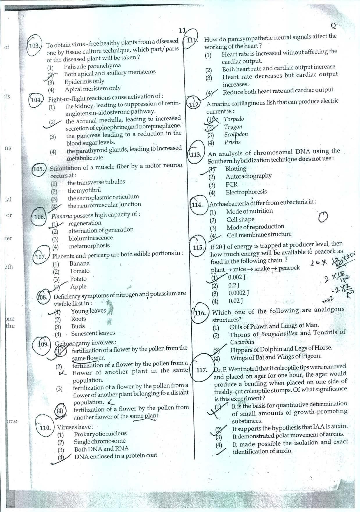 NEET Code Q 2014 Question Paper - Page 11