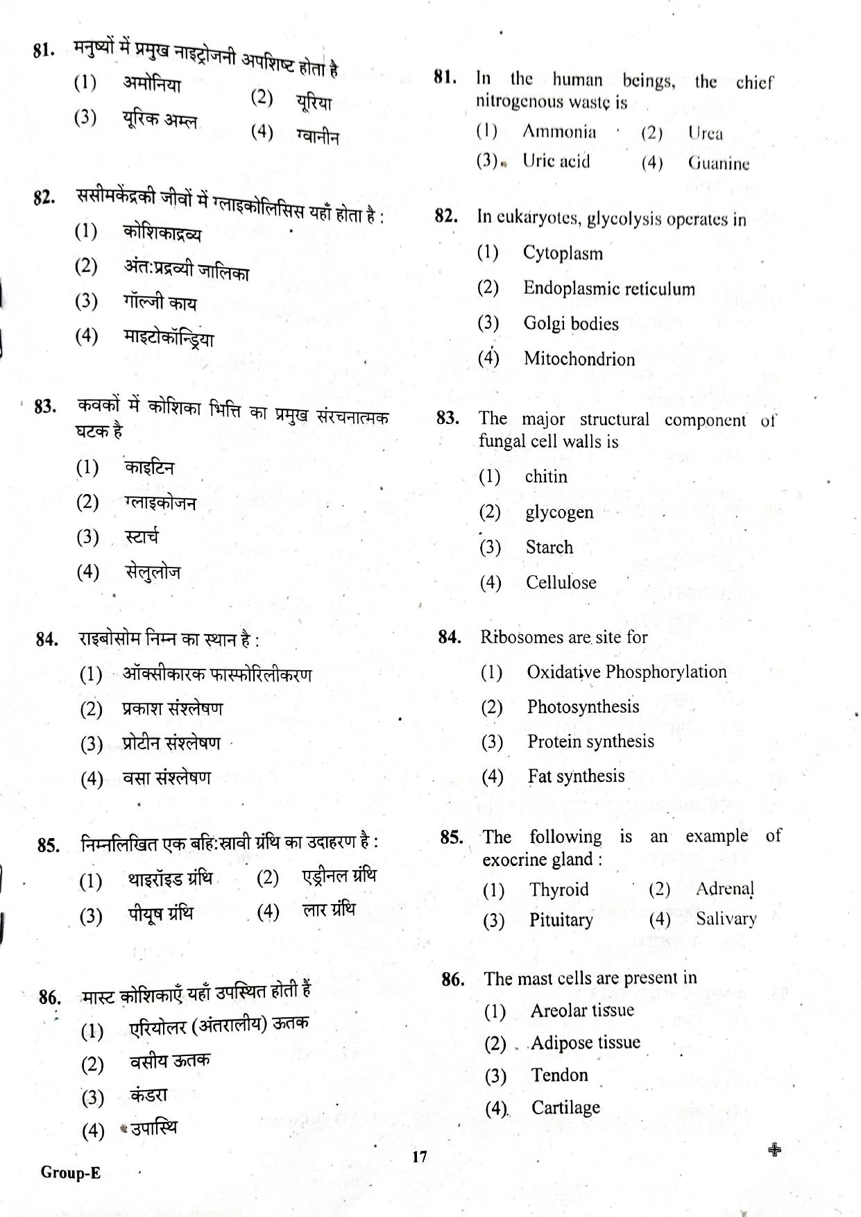 JEECUP GROUP E  Sample Papers - Page 17
