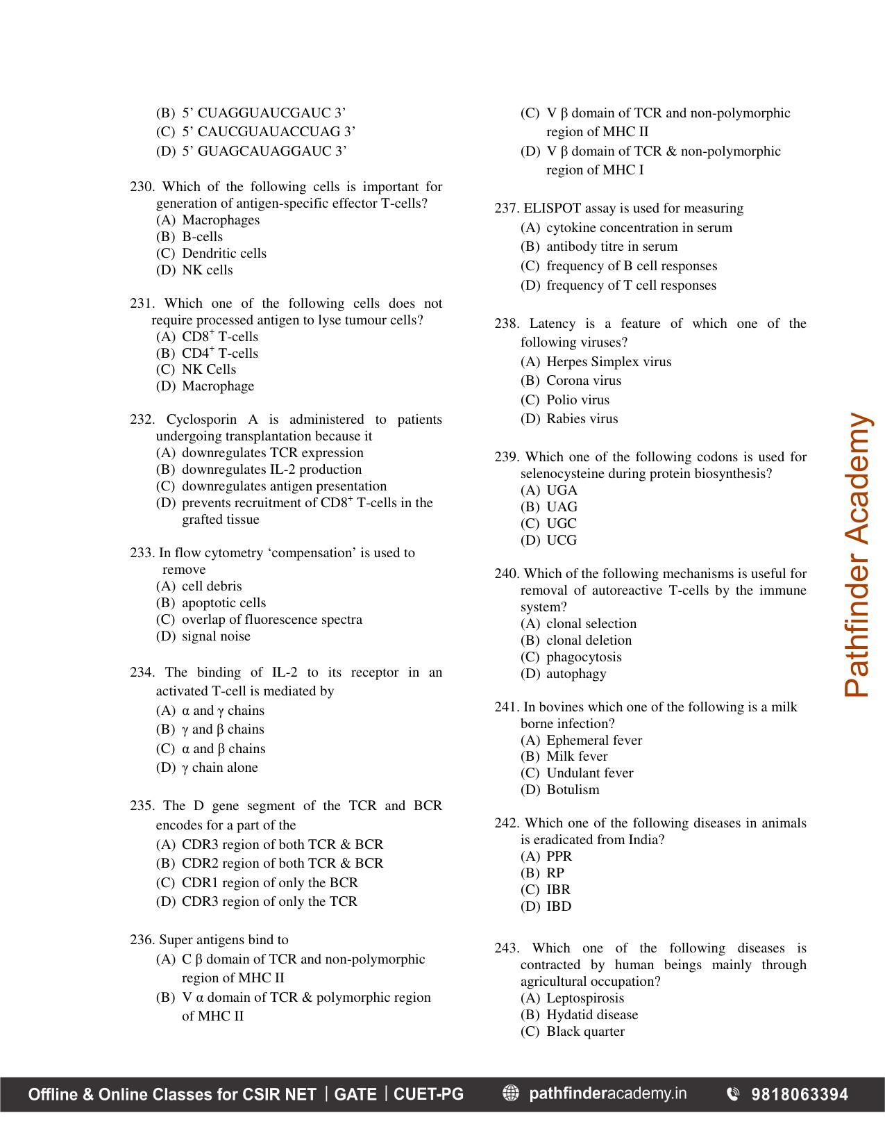 BET 2012 Question Paper - Page 19