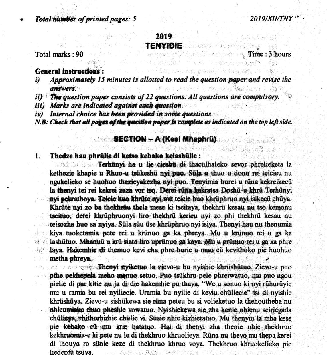 Nagaland Board Class 12 Tenyidie 2019 Question Papers - Page 1