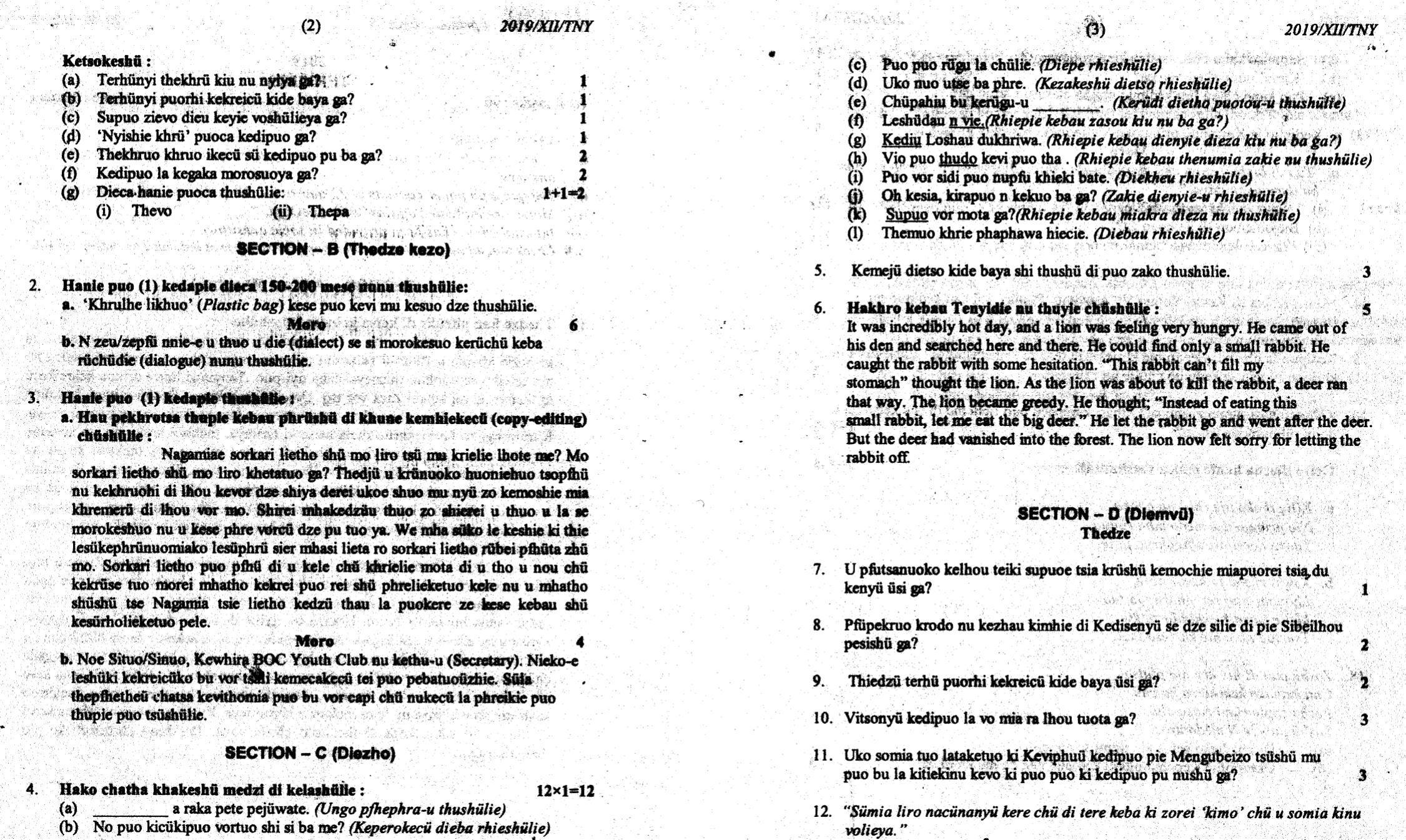 Nagaland Board Class 12 Tenyidie 2019 Question Papers - Page 2
