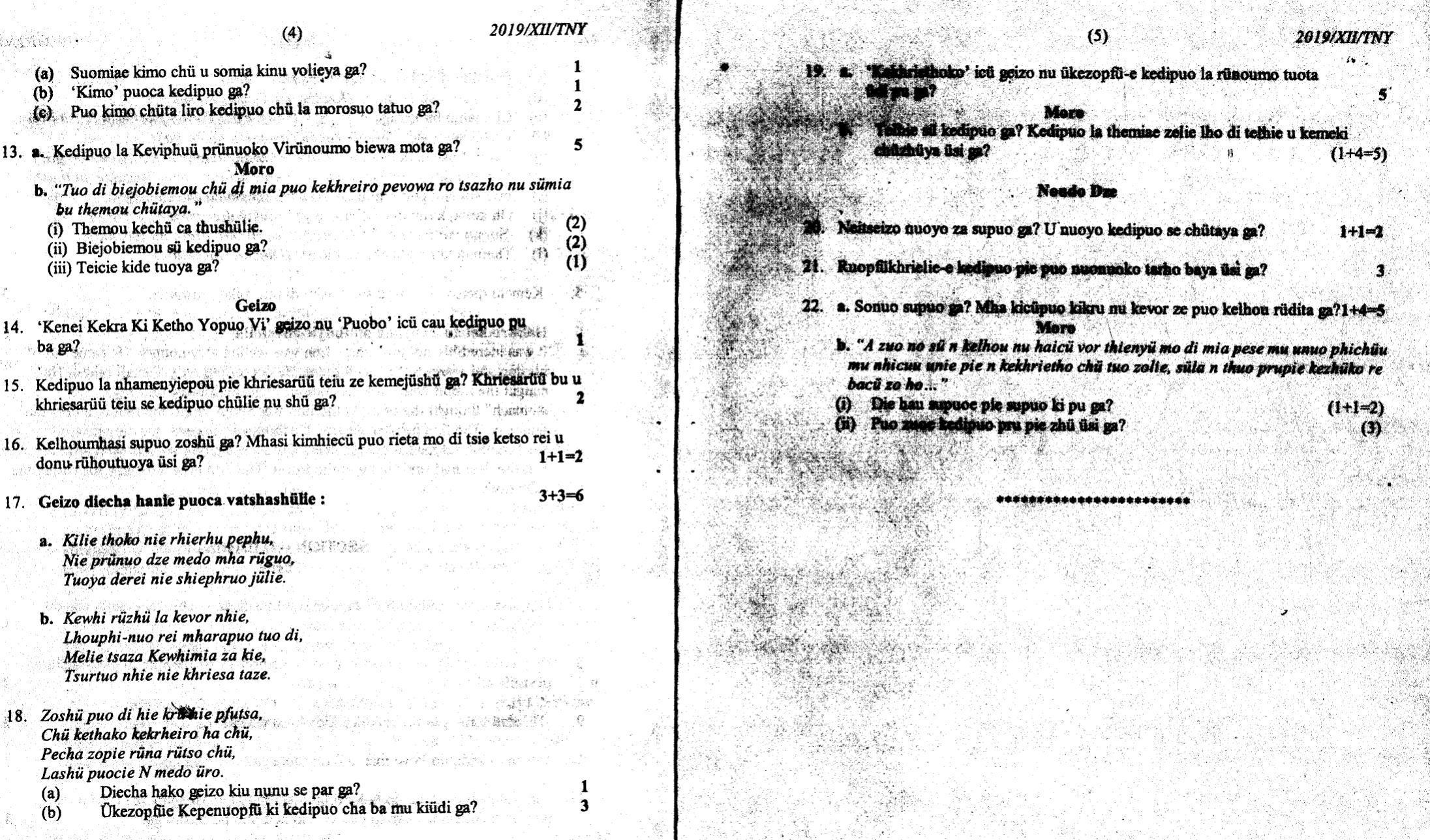 Nagaland Board Class 12 Tenyidie 2019 Question Papers - Page 3