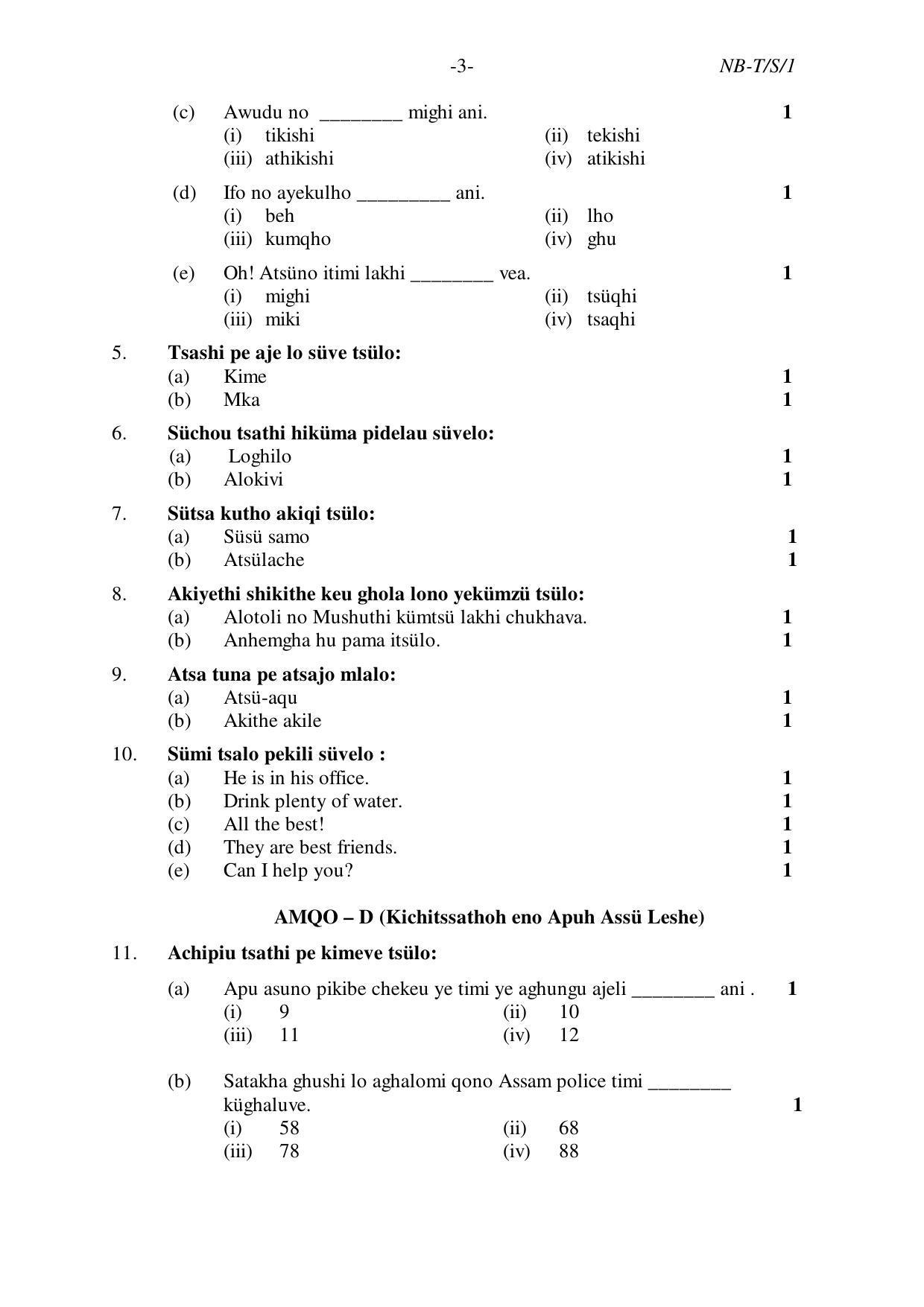 Nagaland Board Class 10 SUMI (SÜTSAH) 2020 Question Paper - Page 3