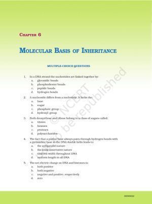 NCERT Exemplar Book for Class 12 Biology: Chapter 6 Molecular Basis of Inheritance
