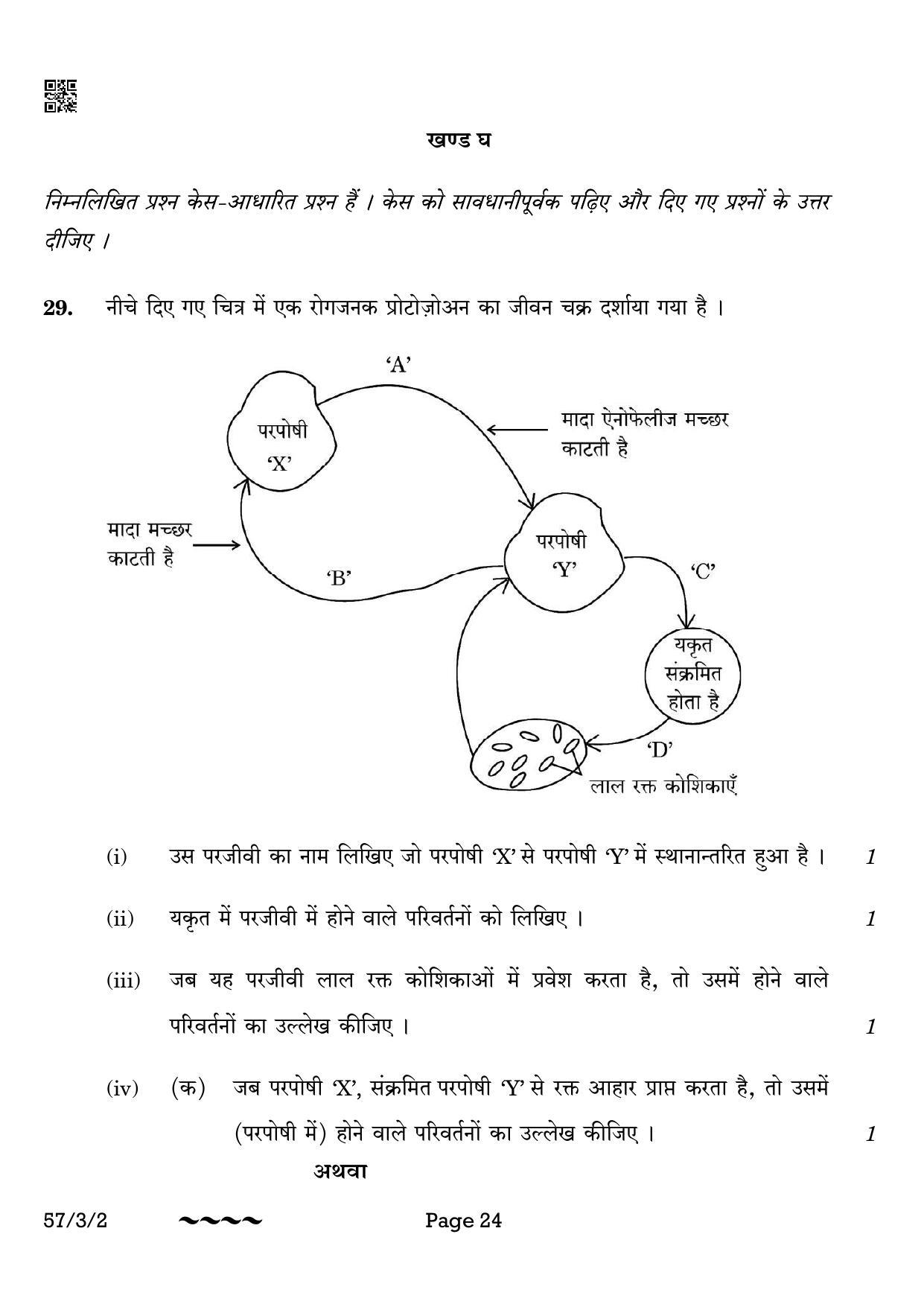CBSE Class 12 57-3-2 Biology 2023 Question Paper - Page 24