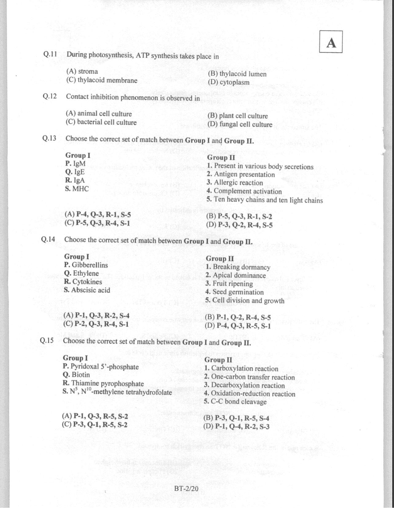 JAM 2008: BT Question Paper - Page 4