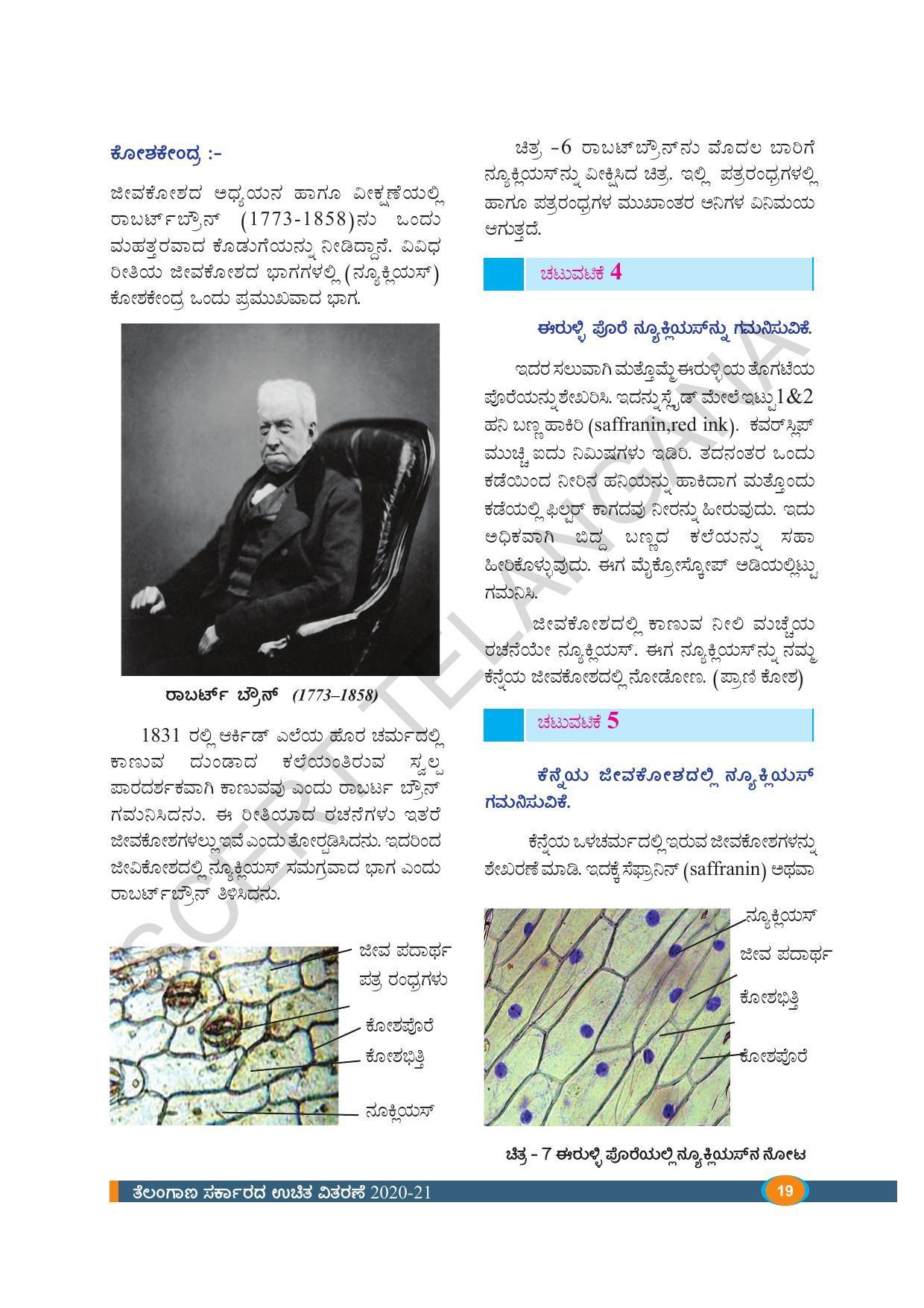 TS SCERT Class 8 Biological Science (Kannada Medium) Text Book - Page 31