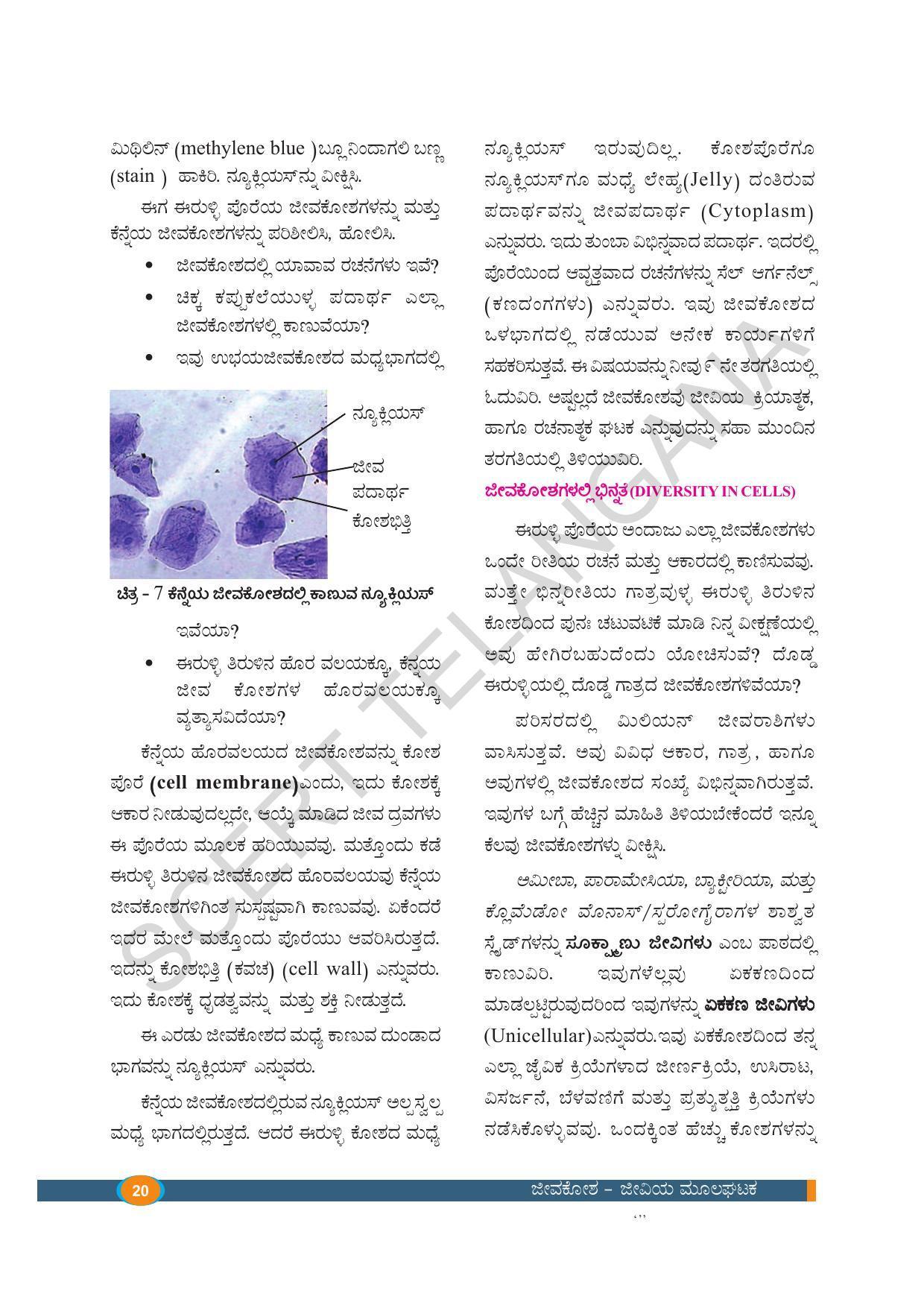 TS SCERT Class 8 Biological Science (Kannada Medium) Text Book - Page 32